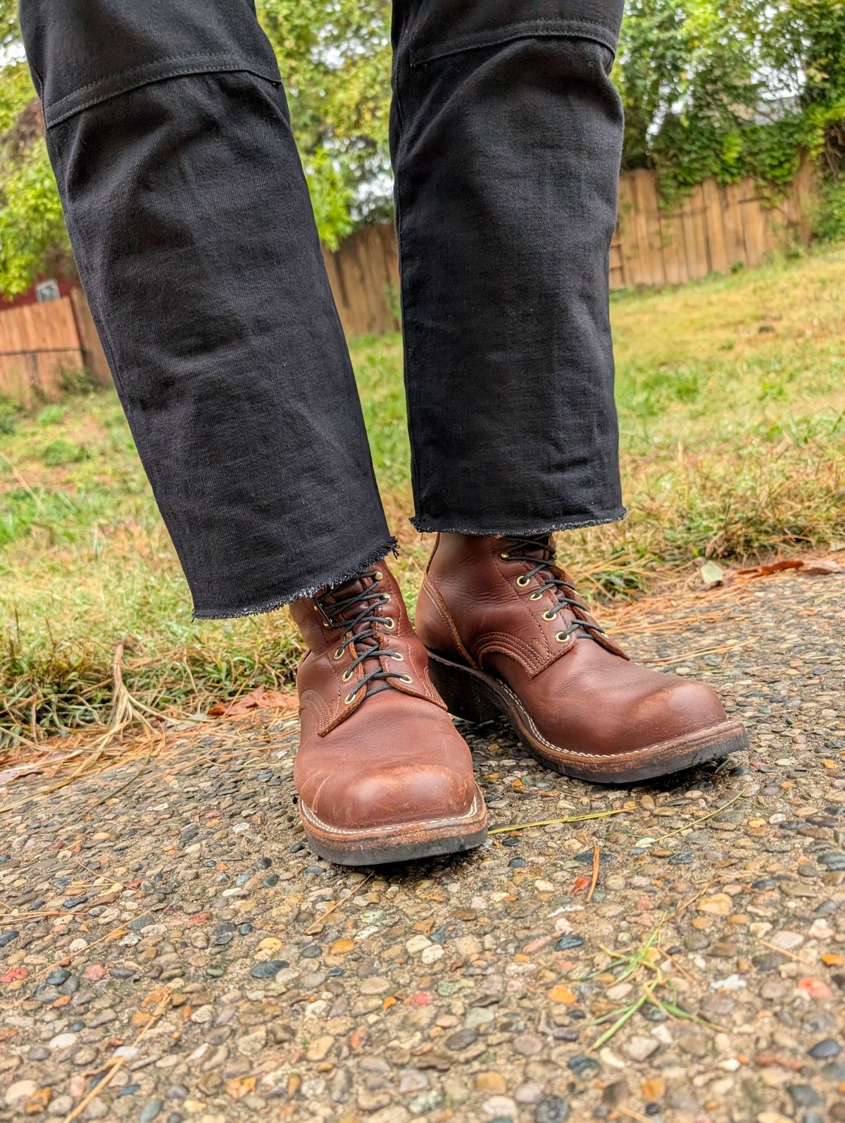 Photo by demo on October 27, 2025 of the Nicks Robert in Seidel 1964 Brown.