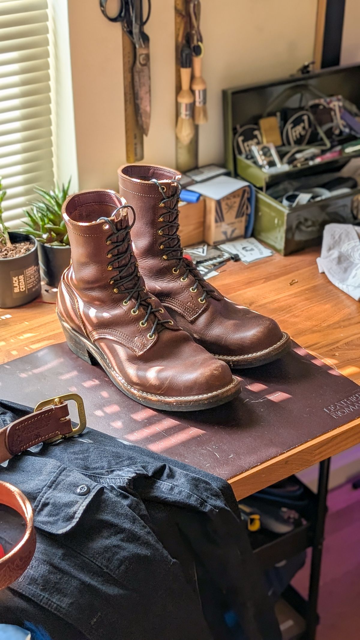 Photo by demo on January 30, 2026 of the Nicks Robert in Seidel 1964 Brown.