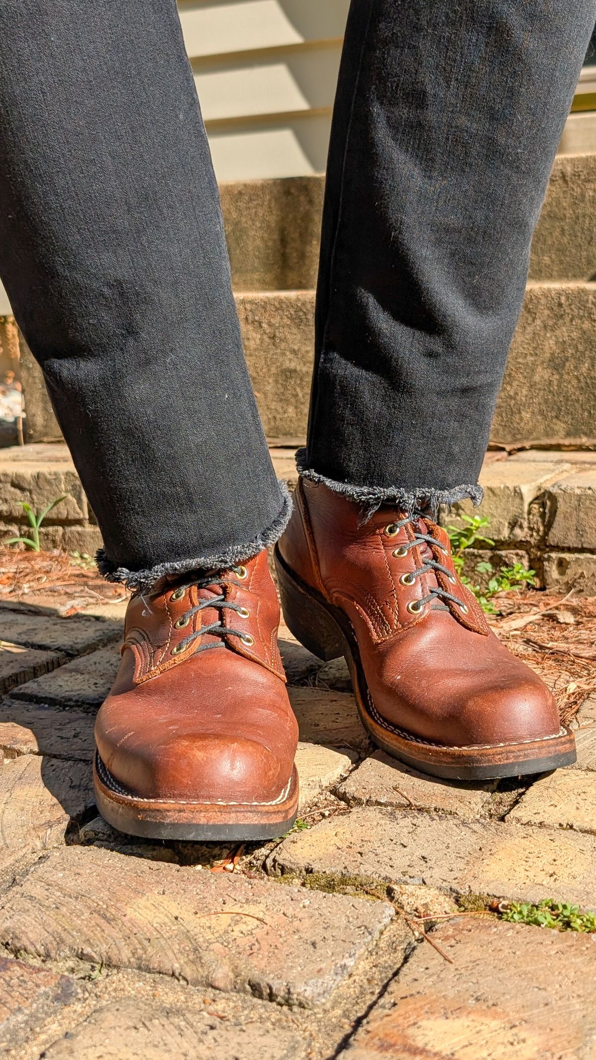 Photo by demo on June 13, 2026 of the Nicks Robert in Seidel 1964 Brown.