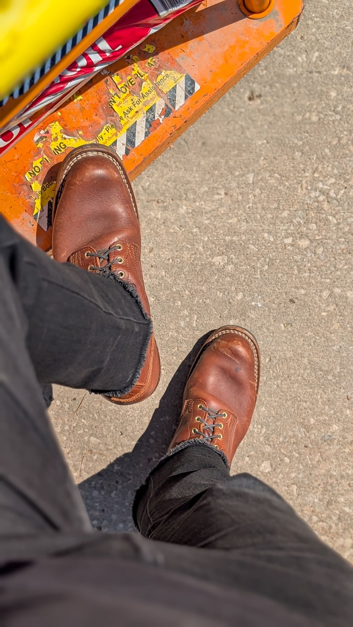 Photo by demo on May 3, 2026 of the Nicks Robert in Seidel 1964 Brown.