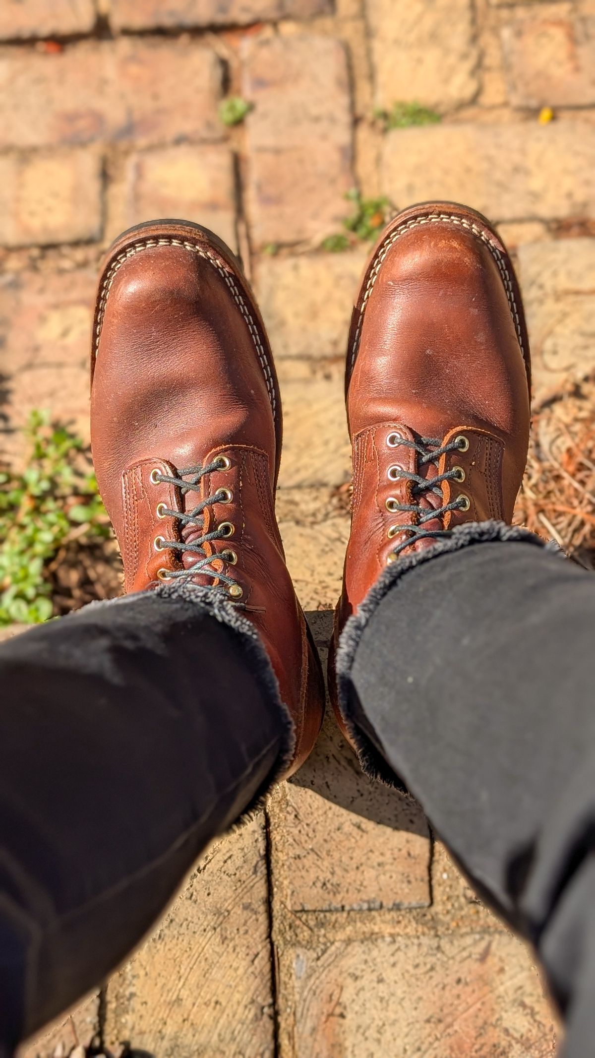 Photo by demo on June 13, 2026 of the Nicks Robert in Seidel 1964 Brown.