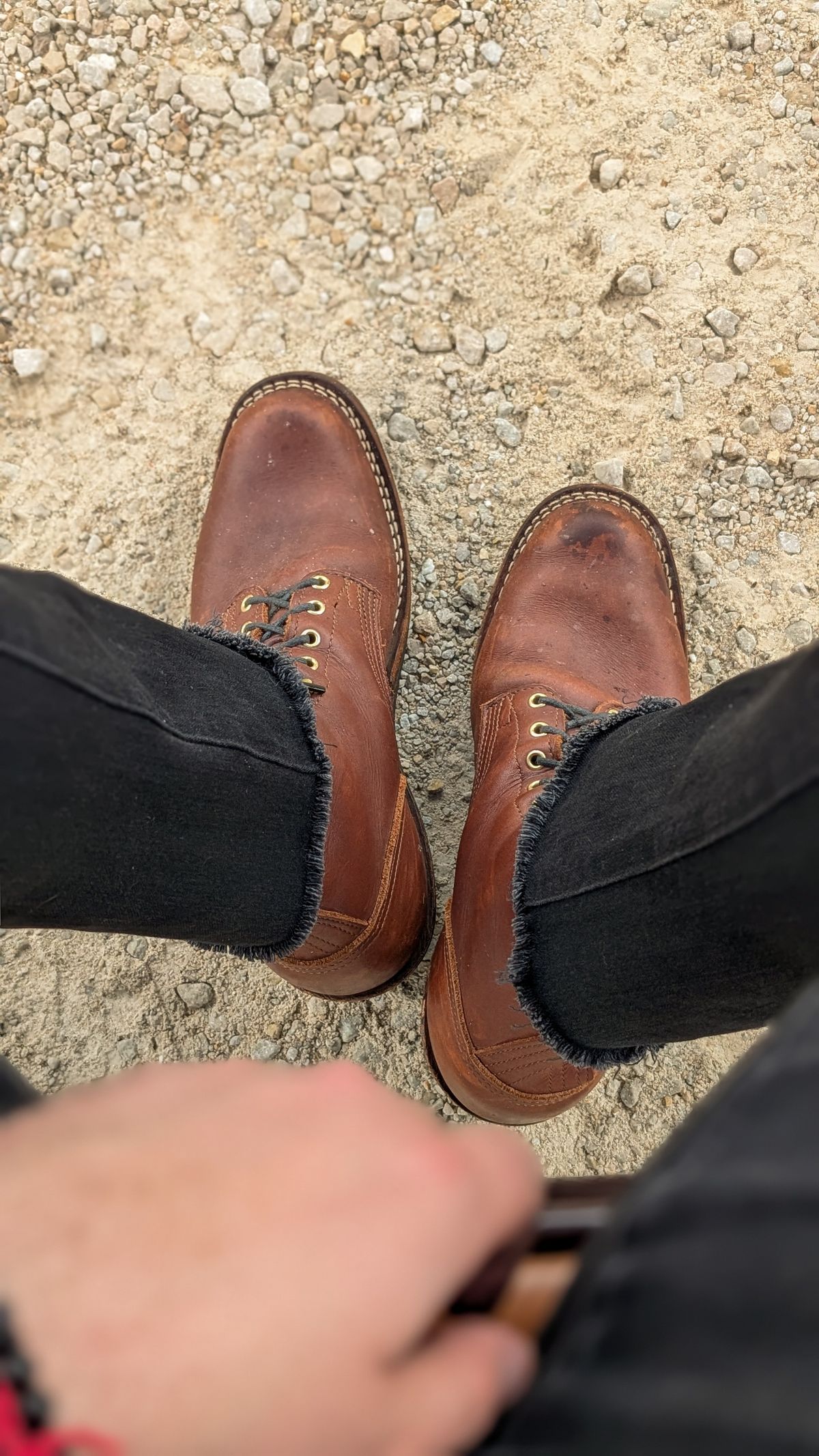 Photo by demo on June 13, 2026 of the Nicks Robert in Seidel 1964 Brown.