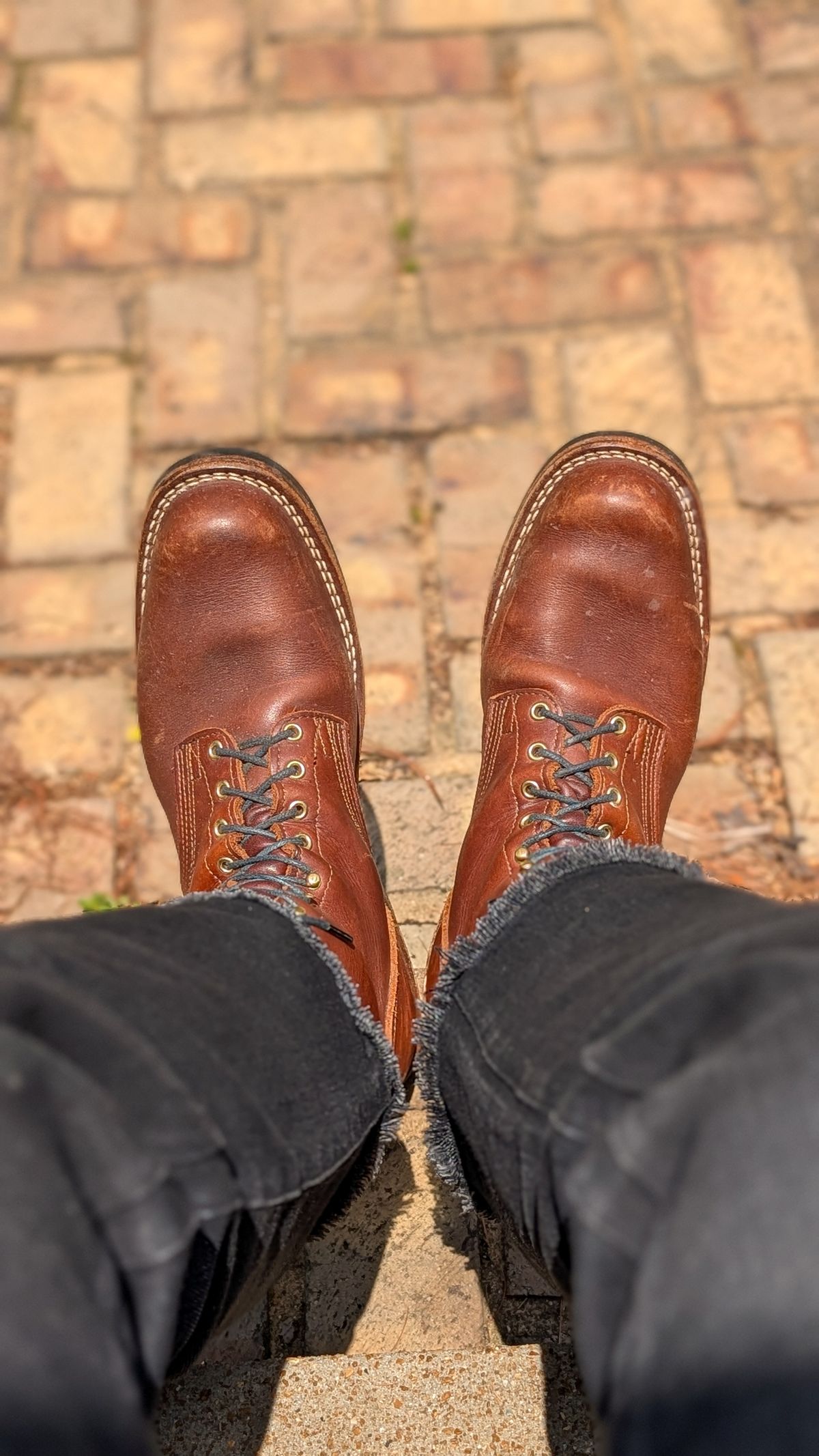 Photo by demo on June 4, 2026 of the Nicks Robert in Seidel 1964 Brown.