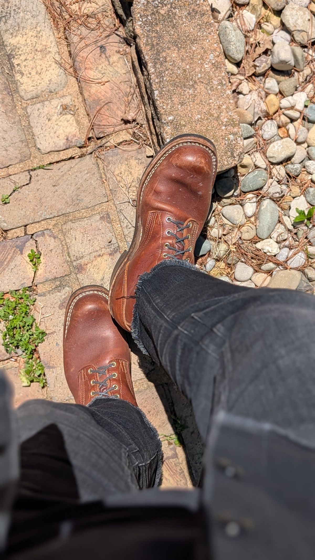 Photo by demo on May 14, 2026 of the Nicks Robert in Seidel 1964 Brown.