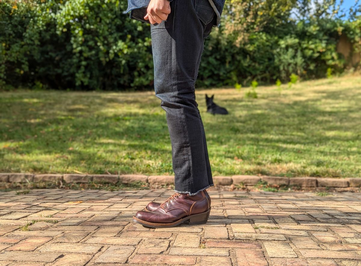 Photo by demo on September 14, 2024 of the Rogue Territory Silveridge in 17oz Cryptic Stealth.
