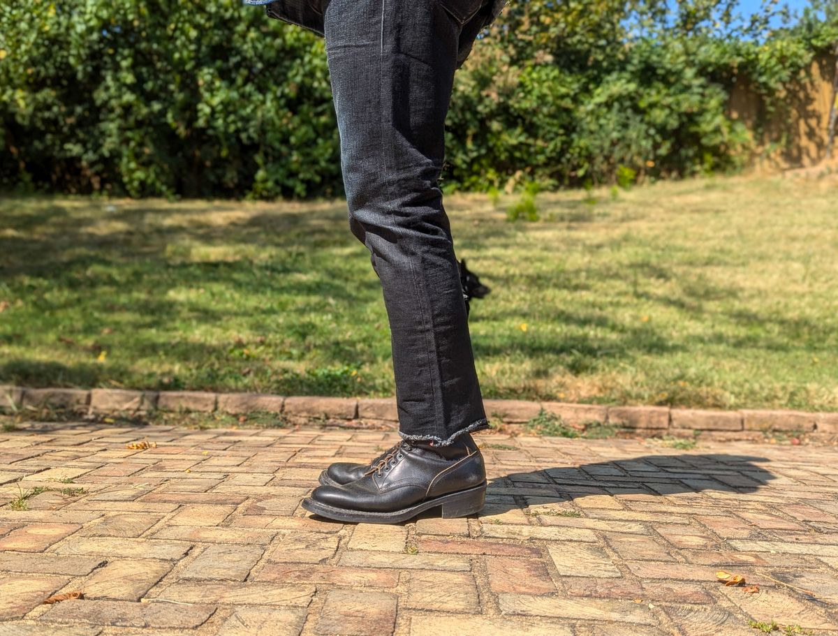 Photo by demo on September 17, 2024 of the Rogue Territory Silveridge in 17oz Cryptic Stealth.