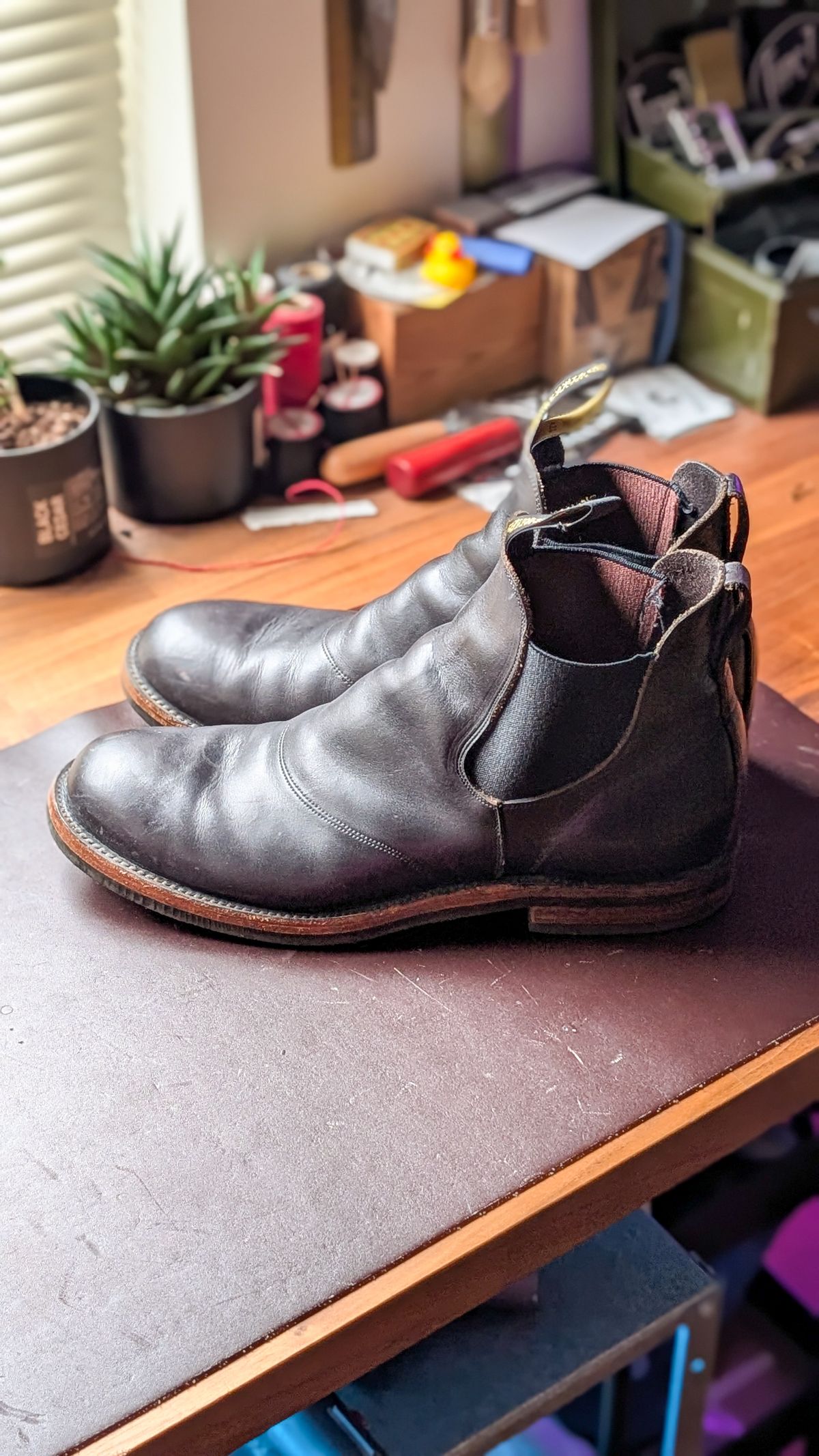 Photo by demo on February 5, 2026 of the RRL Congress Boot in Horween Black Chromexcel.