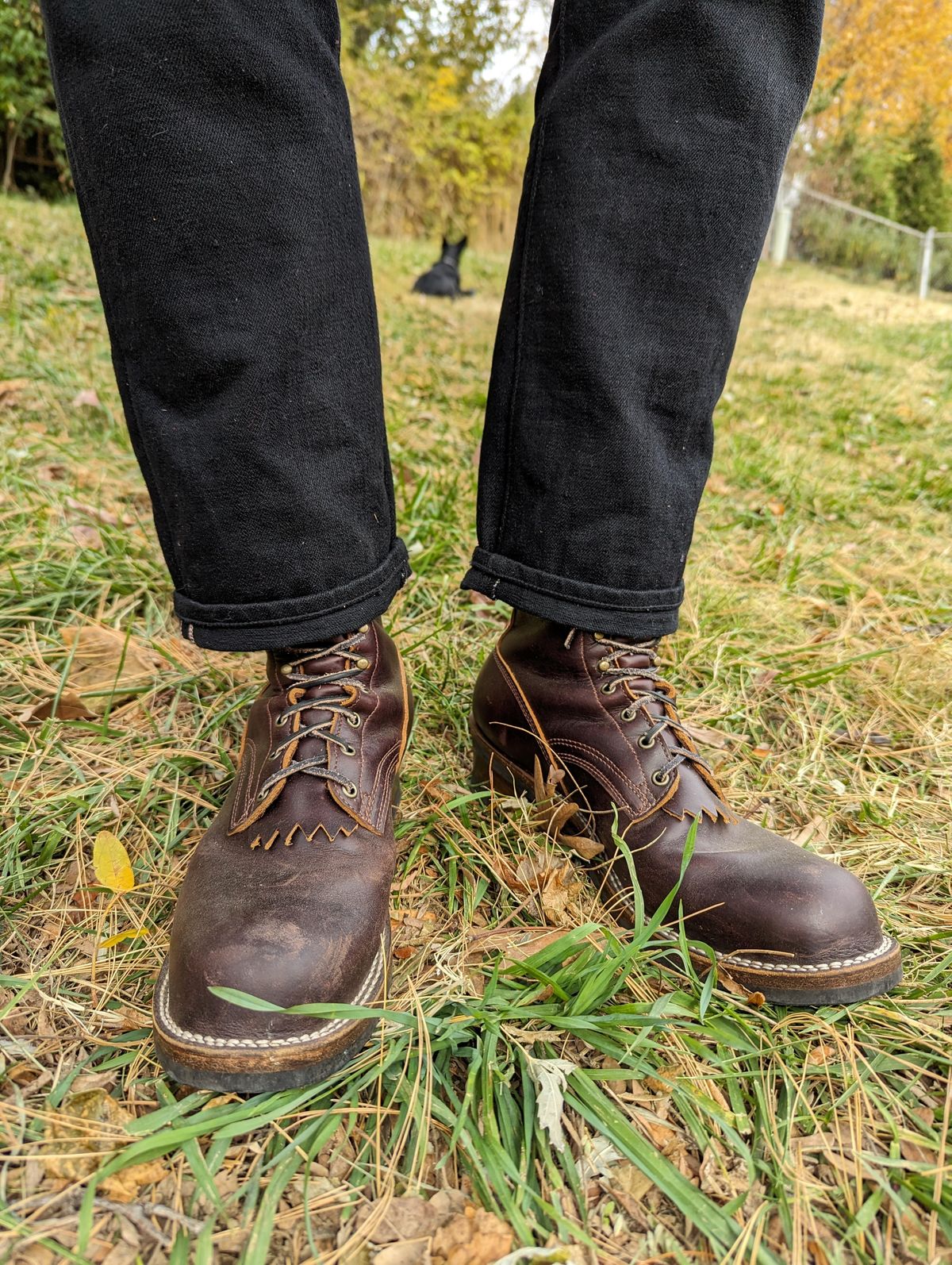 Photo by demo on November 9, 2023 of the Frank's Boots Type 1 Commander in Seidel Brown Domain.