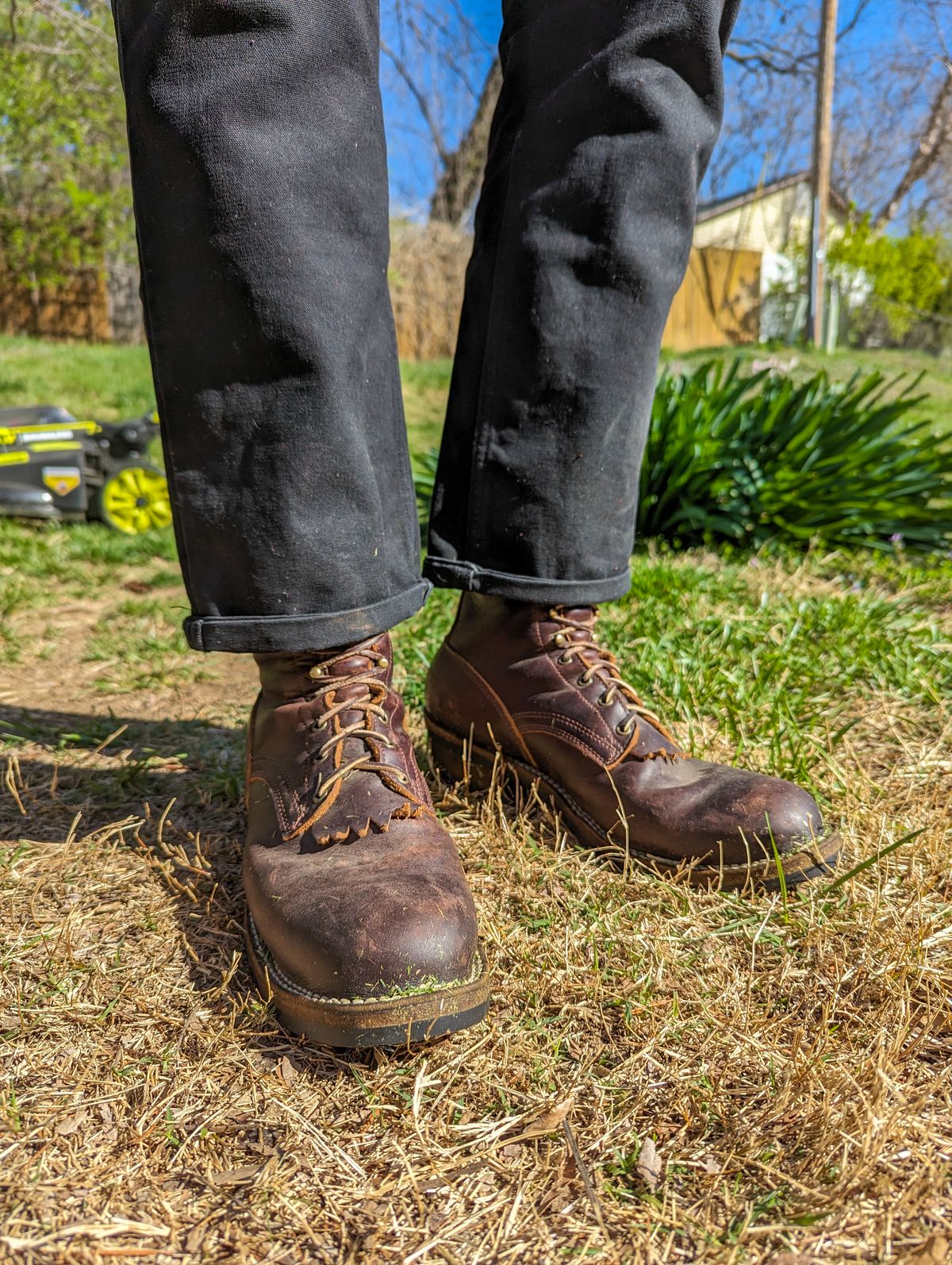 Photo by demo on March 16, 2024 of the Frank's Boots Type 1 Commander in Seidel Brown Domain.