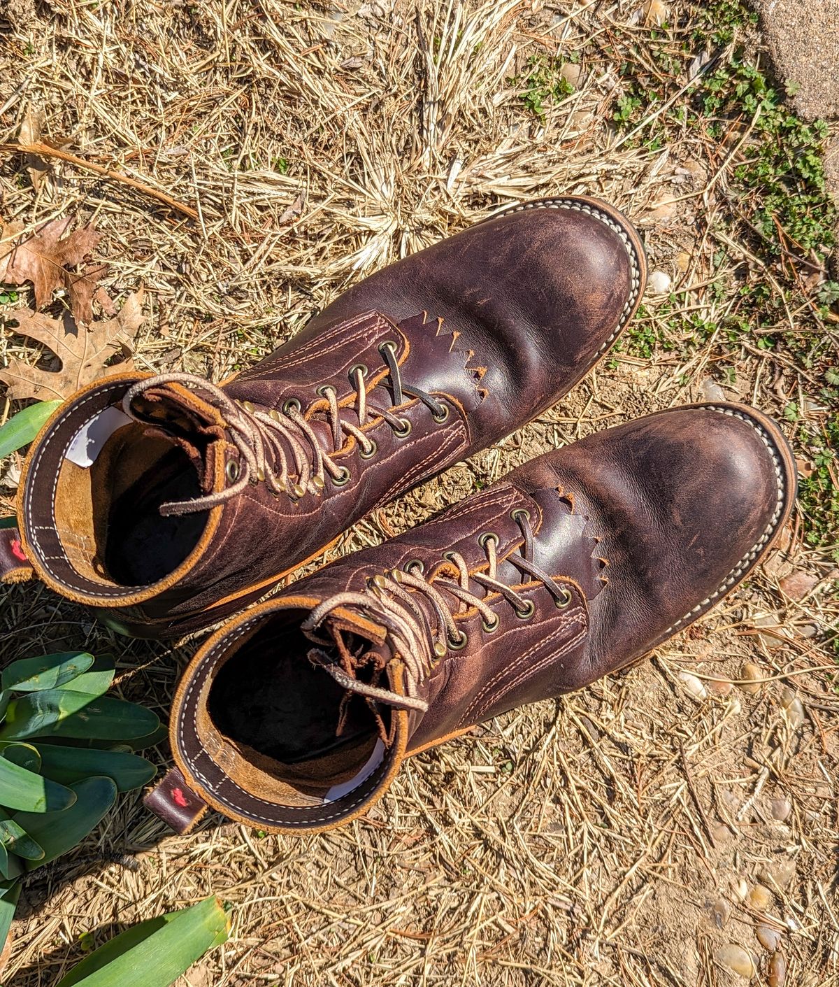 Photo by demo on March 2, 2024 of the Frank's Boots Type 1 Commander in Seidel Brown Domain.
