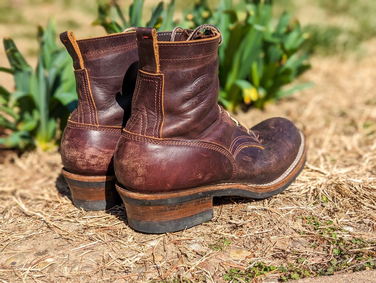 Photo by demo on March 2, 2024 of the Frank's Boots Type 1 Commander in Seidel Brown Domain.