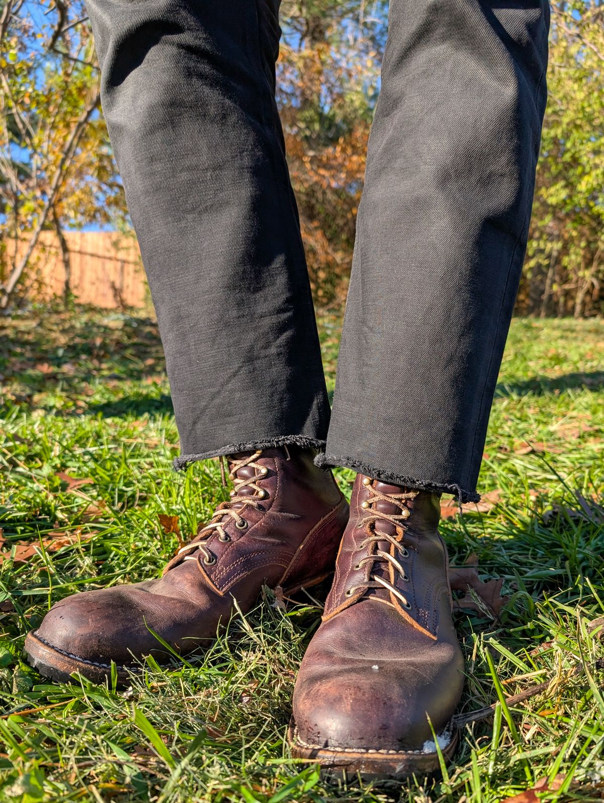 Photo by demo on December 3, 2024 of the Frank's Boots Type 1 Commander in Seidel Brown Domain.