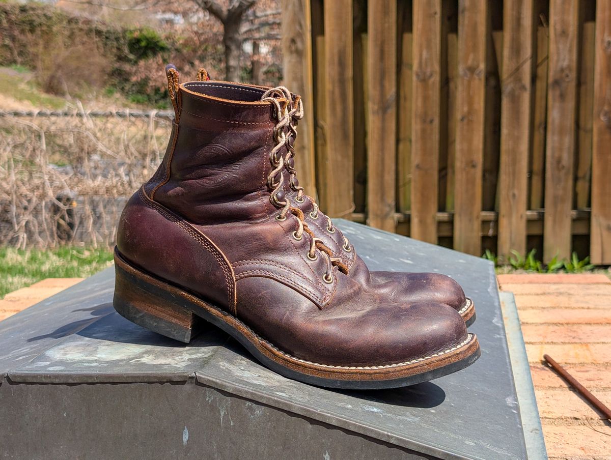 Photo by demo on March 25, 2025 of the Frank's Boots Type 1 Commander in Seidel Brown Domain.