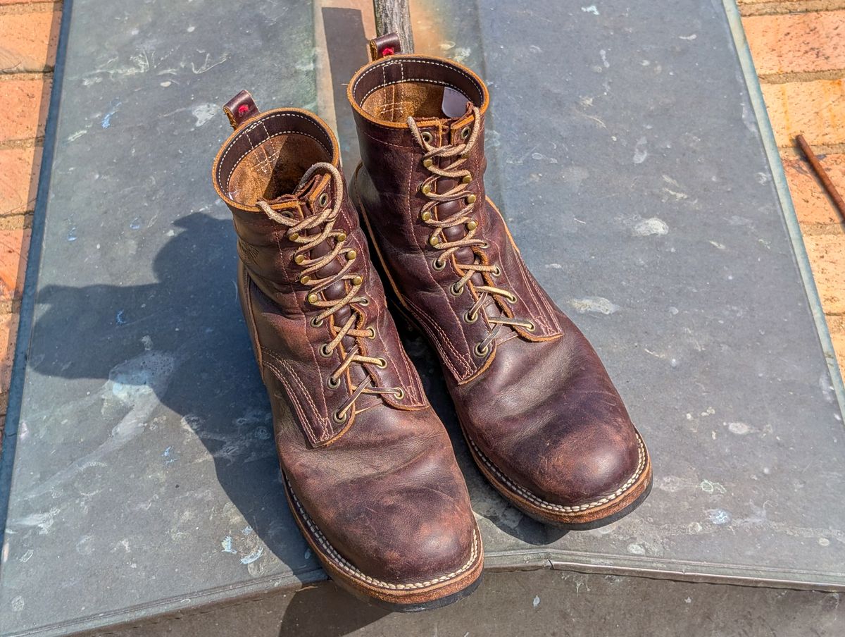 Photo by demo on March 25, 2025 of the Frank's Boots Type 1 Commander in Seidel Brown Domain.
