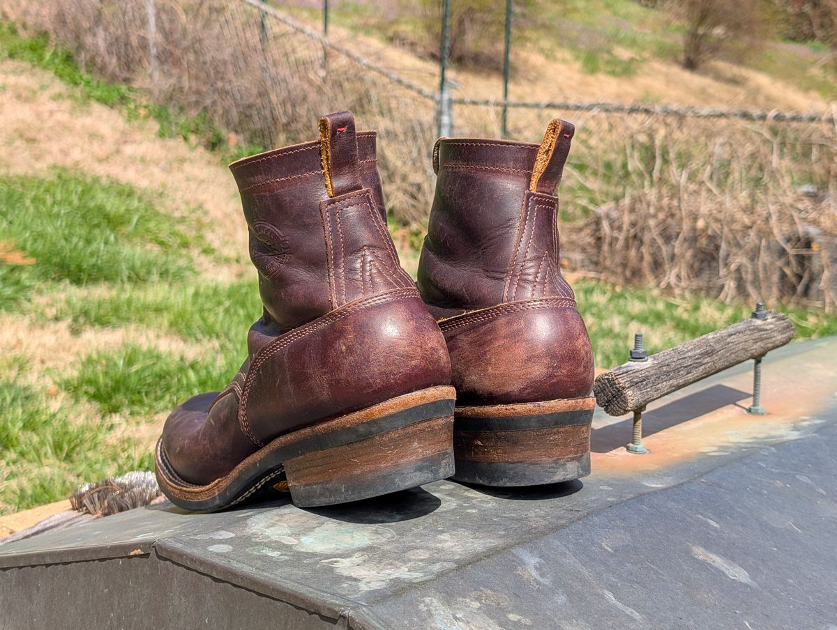 Photo by demo on March 25, 2025 of the Frank's Boots Type 1 Commander in Seidel Brown Domain.