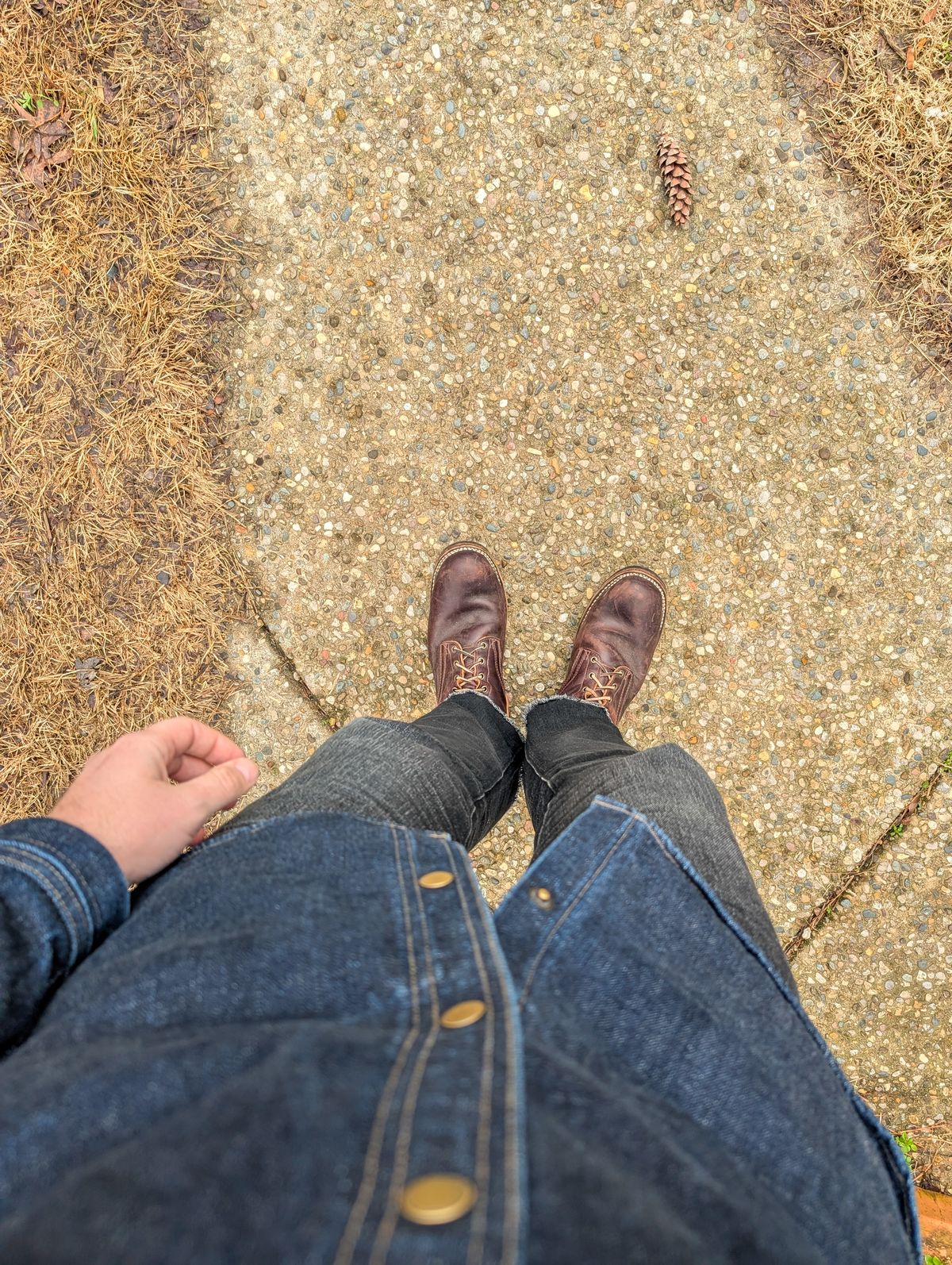 Photo by demo on March 5, 2025 of the Frank's Boots Type 1 Commander in Seidel Brown Domain.
