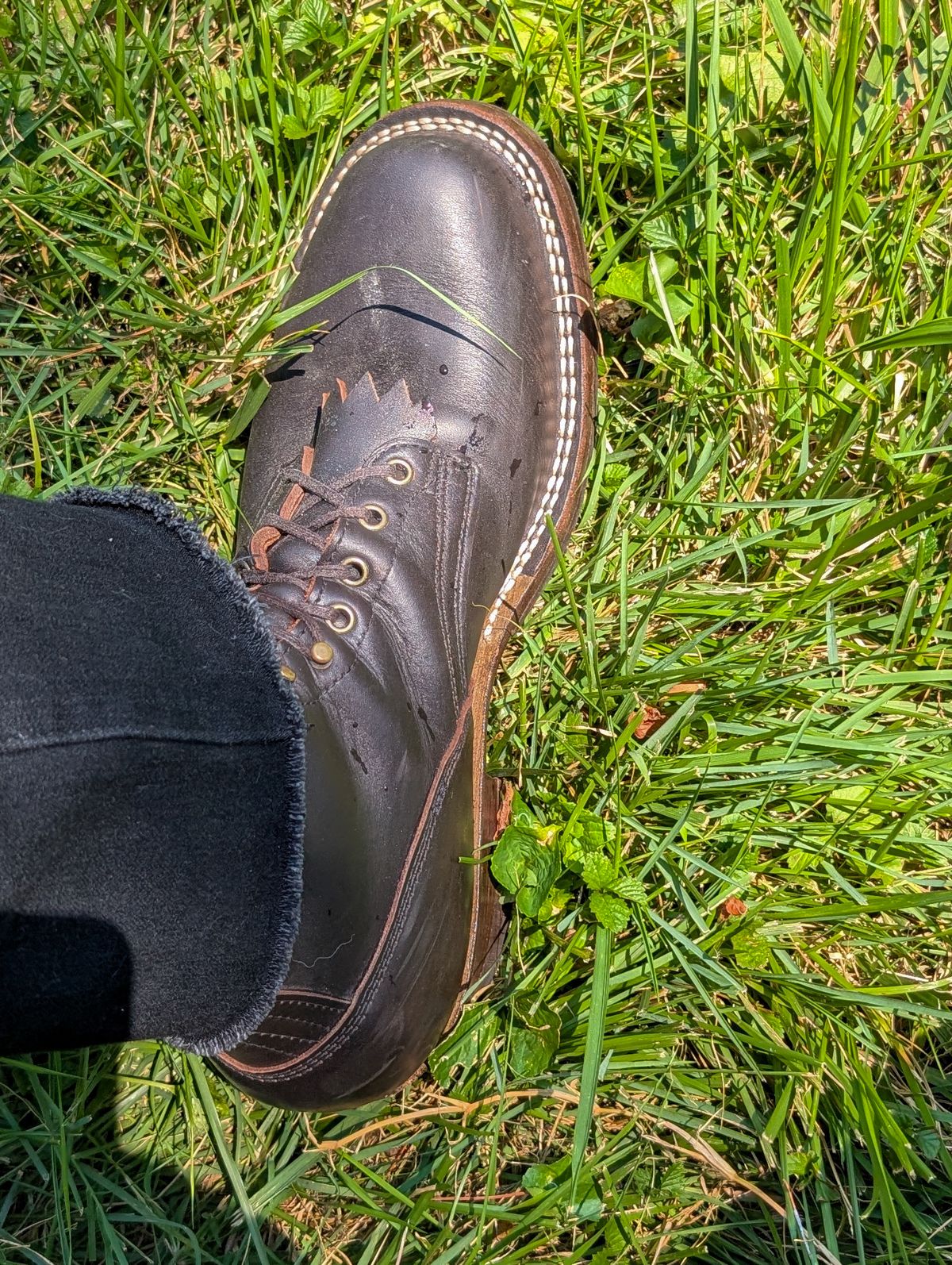 Photo by demo on August 13, 2025 of the Frank's Boots Custom Model in Seidel Mocha Oil Tan.