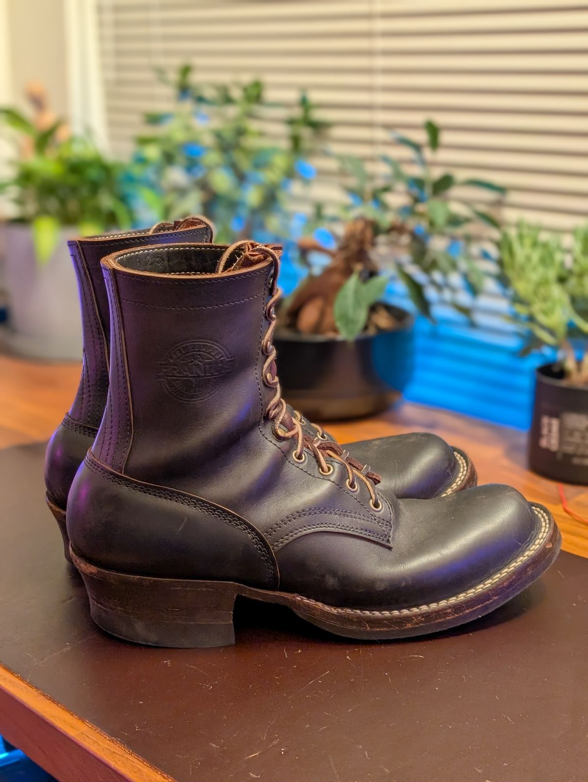 Photo by demo on January 17, 2026 of the Frank's Boots Custom Model in Seidel Mocha Oil Tan.