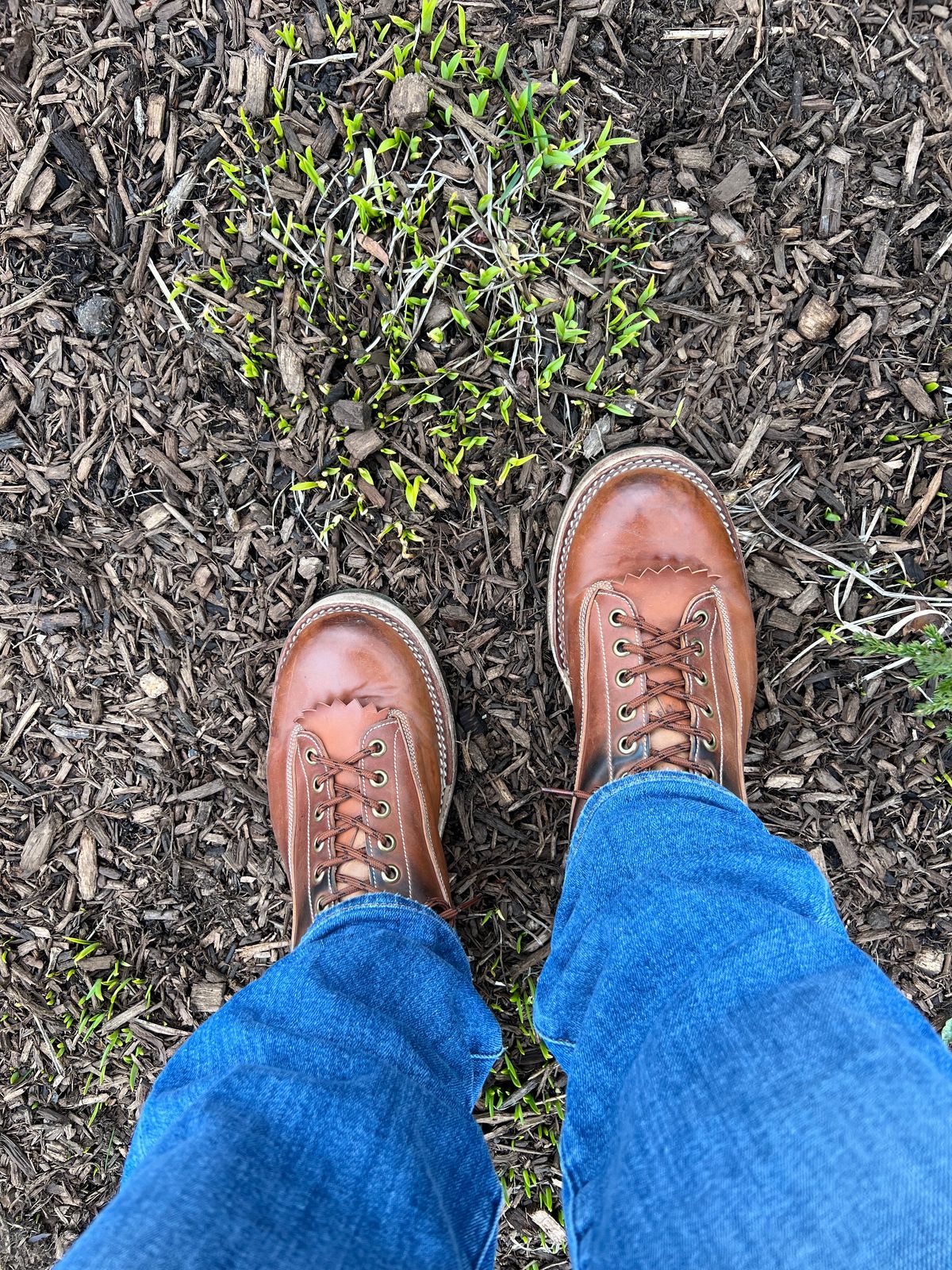 Photo by Shoepac on April 3, 2023 of the Onderhoud LVL01 Derby Boot in Horween Unglazed Natural Shell Cordovan.