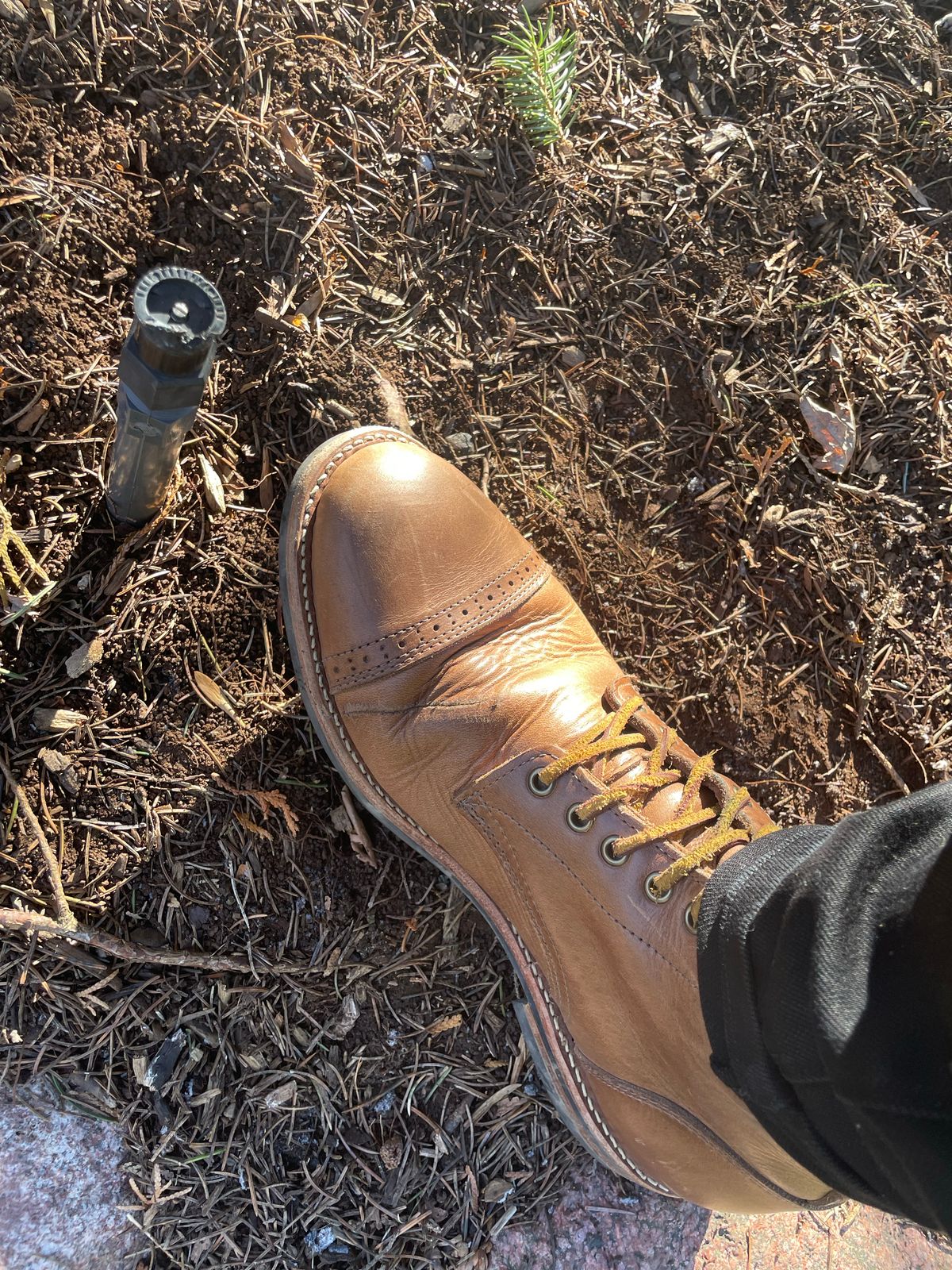 Photo by sirwolf on December 3, 2022 of the Oak Street Bootmakers Trench Boot in Horween Natural Chromexcel.