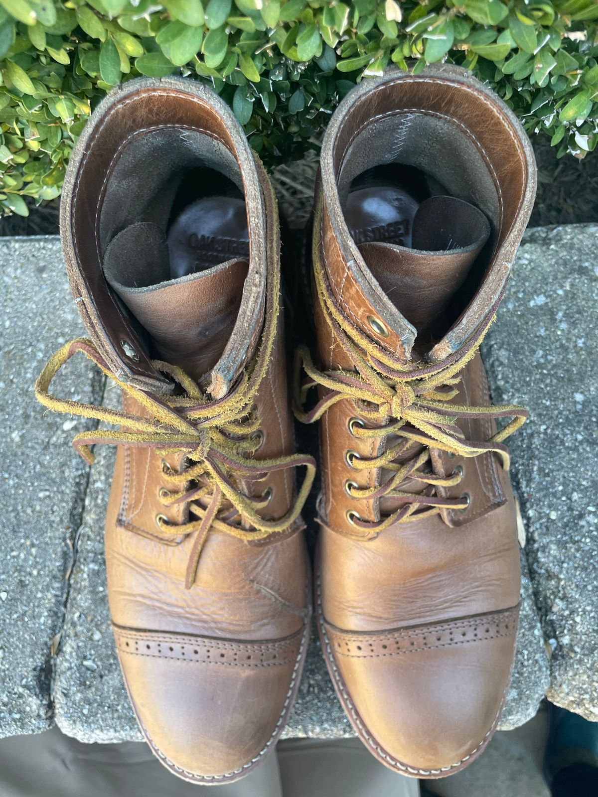 Photo by sirwolf on December 3, 2022 of the Oak Street Bootmakers Trench Boot in Horween Natural Chromexcel.