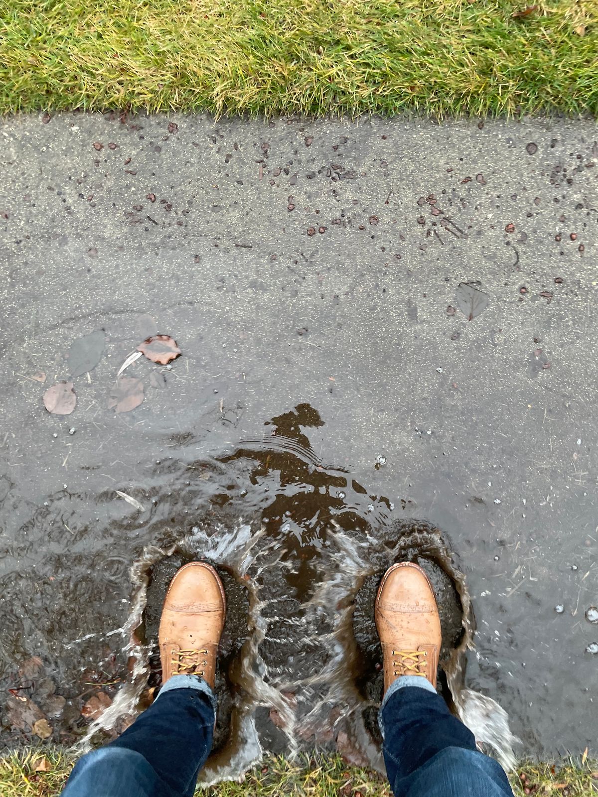 Photo by sirwolf on January 4, 2023 of the Oak Street Bootmakers Trench Boot in Horween Natural Chromexcel.