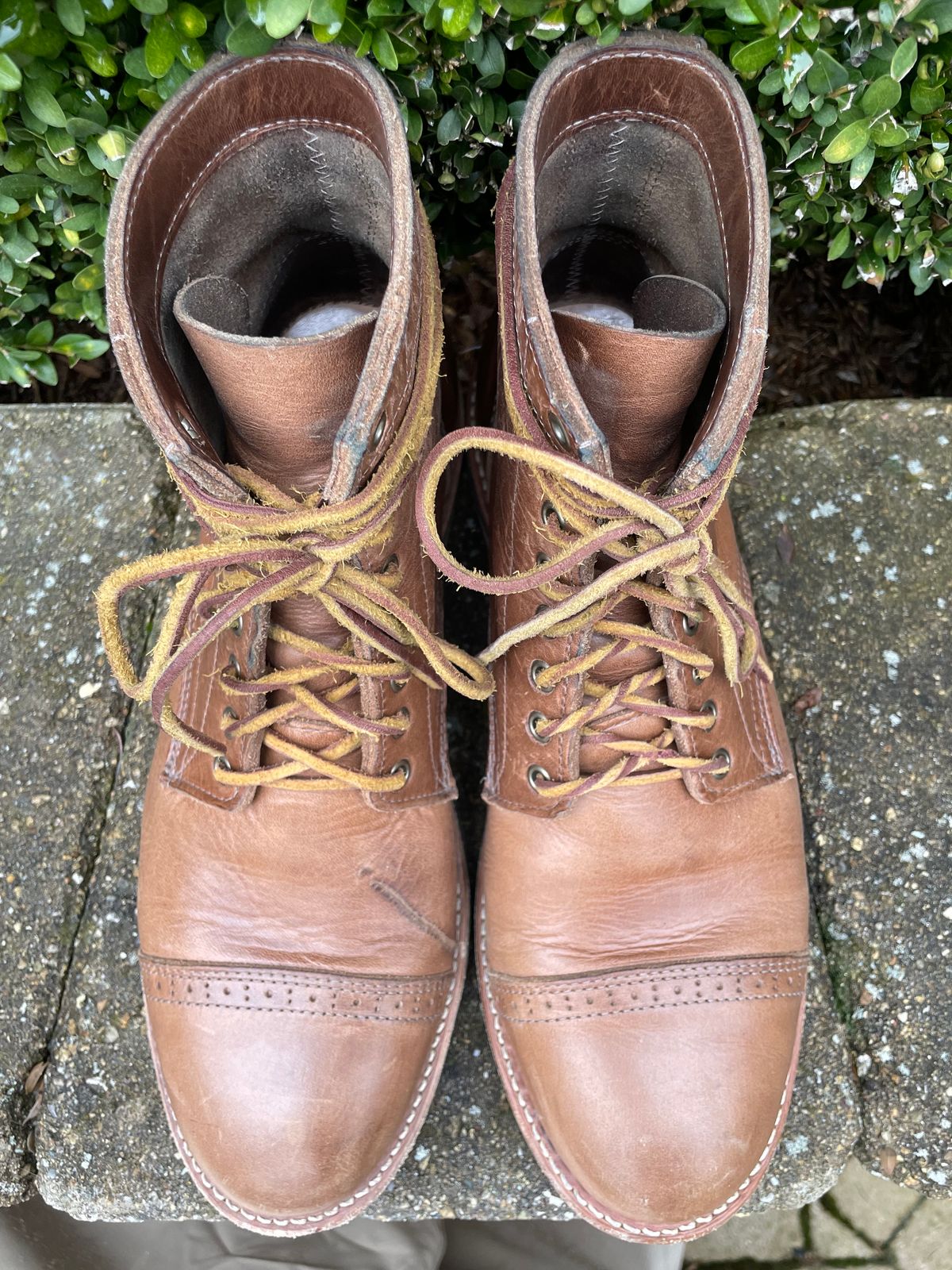 Photo by sirwolf on January 4, 2023 of the Oak Street Bootmakers Trench Boot in Horween Natural Chromexcel.