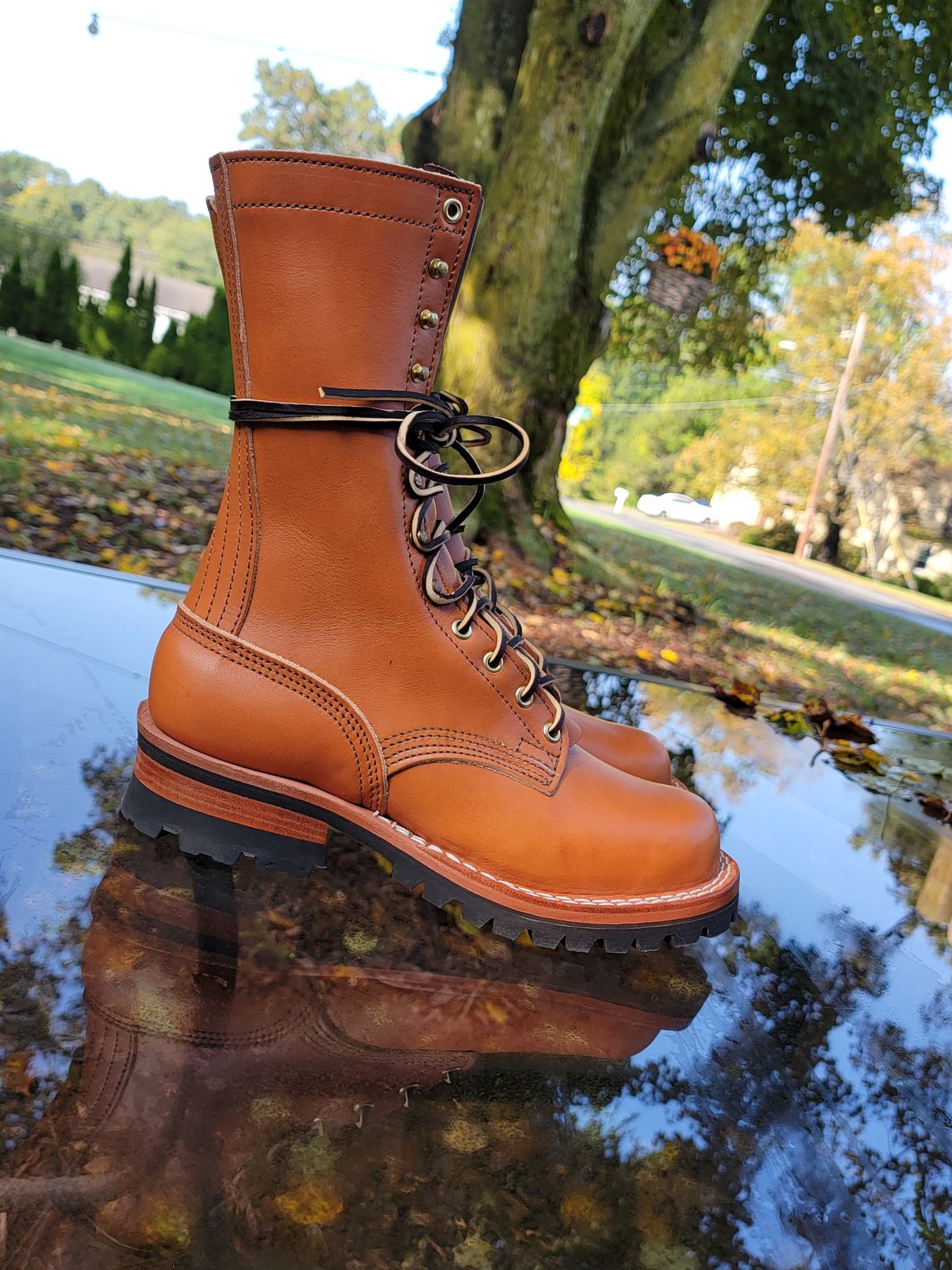 Photo by Kugelblitz1776 on October 1, 2023 of the Nicks DomePro in Wickett & Craig Tan English Bridle.
