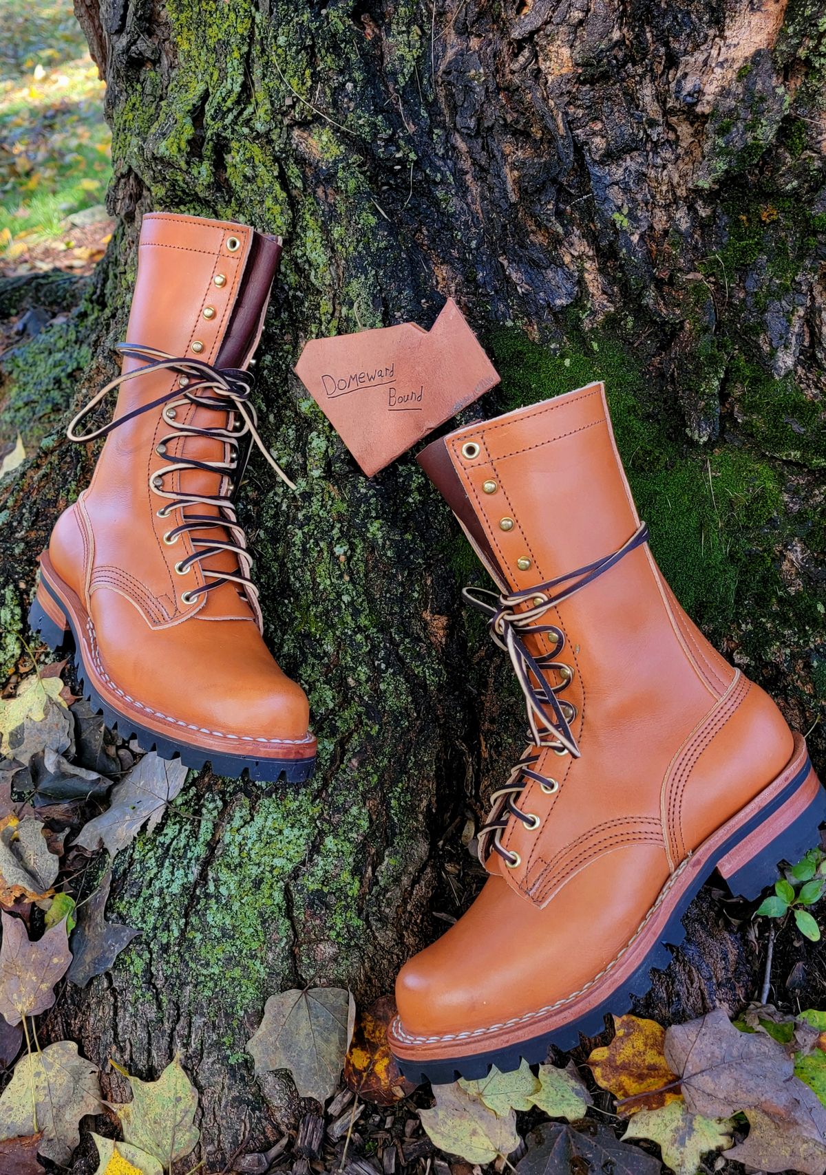 Photo by Kugelblitz1776 on October 1, 2023 of the Nicks DomePro in Wickett & Craig Tan English Bridle.