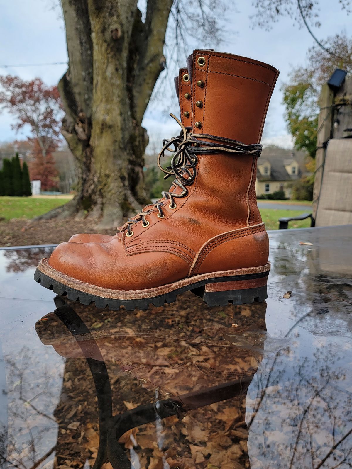 Photo by Kugelblitz1776 on November 4, 2023 of the Nicks DomePro in Wickett & Craig Tan English Bridle.