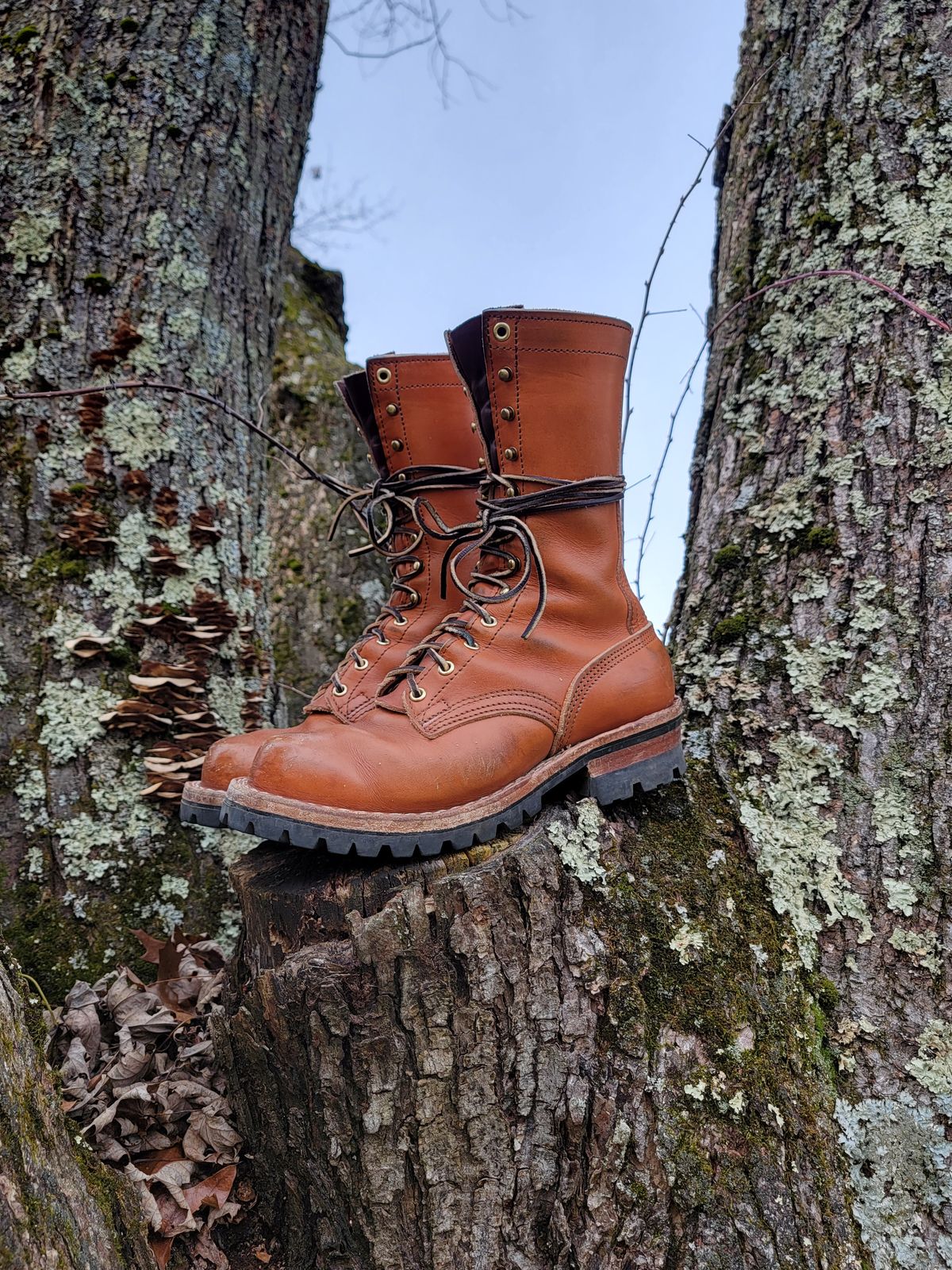 Photo by Kugelblitz1776 on December 1, 2023 of the Nicks DomePro in Wickett & Craig Tan English Bridle.