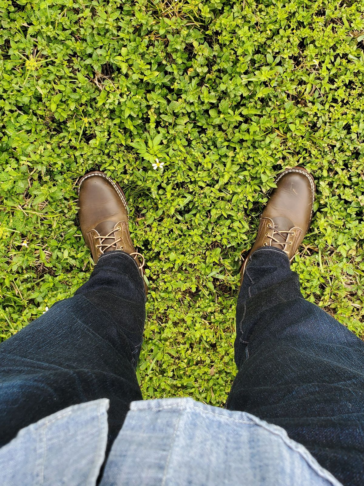 Photo by grim_f on August 8, 2023 of the Nicks Robert in Horween Olive Chromepak.