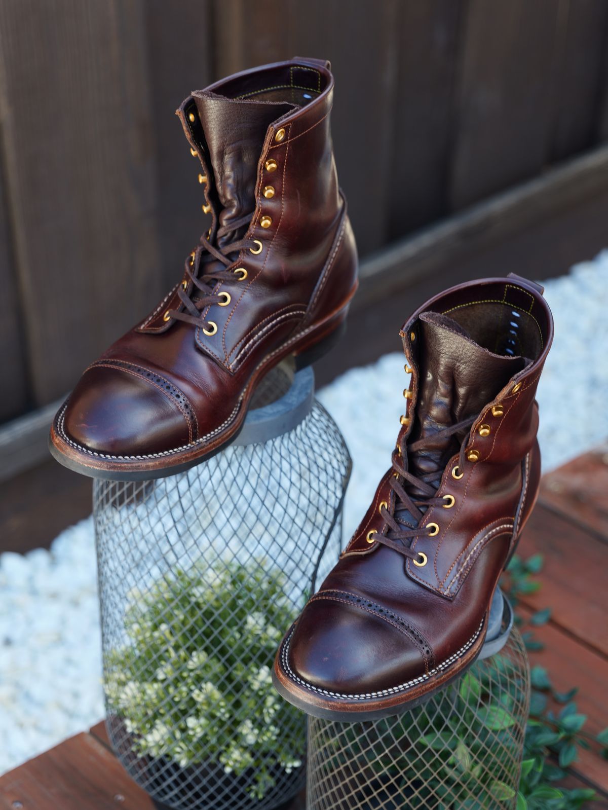 Thumbnail of review: Amazing aging the Iron Dragon!