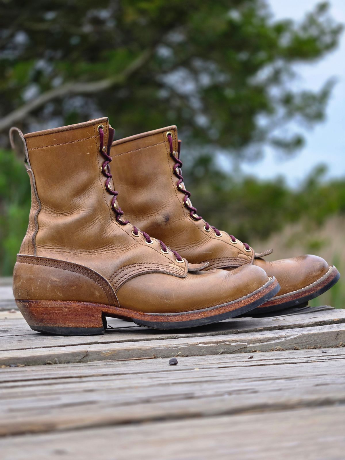 Photo by ShnyHntr91 on May 22, 2026 of the Nicks MTO in Horween, Sage Chromepak.
