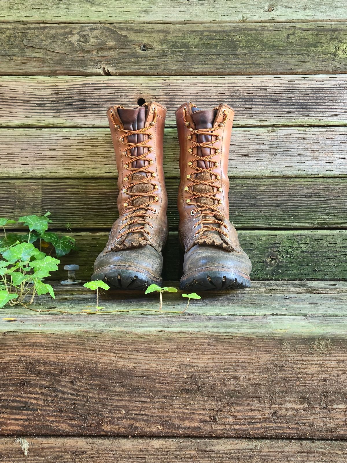 Photo by ShnyHntr91 on June 19, 2025 of the Nicks BuilderPro in Seidel MaxSupport Tan.