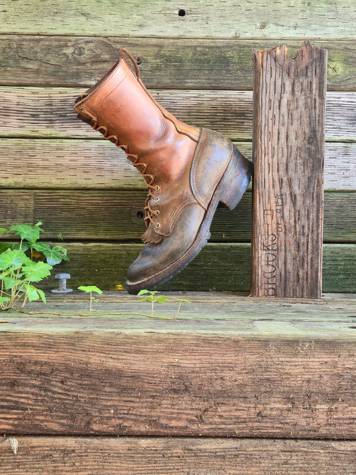Photo by ShnyHntr91 on June 19, 2025 of the Nicks BuilderPro in Seidel MaxSupport Tan.