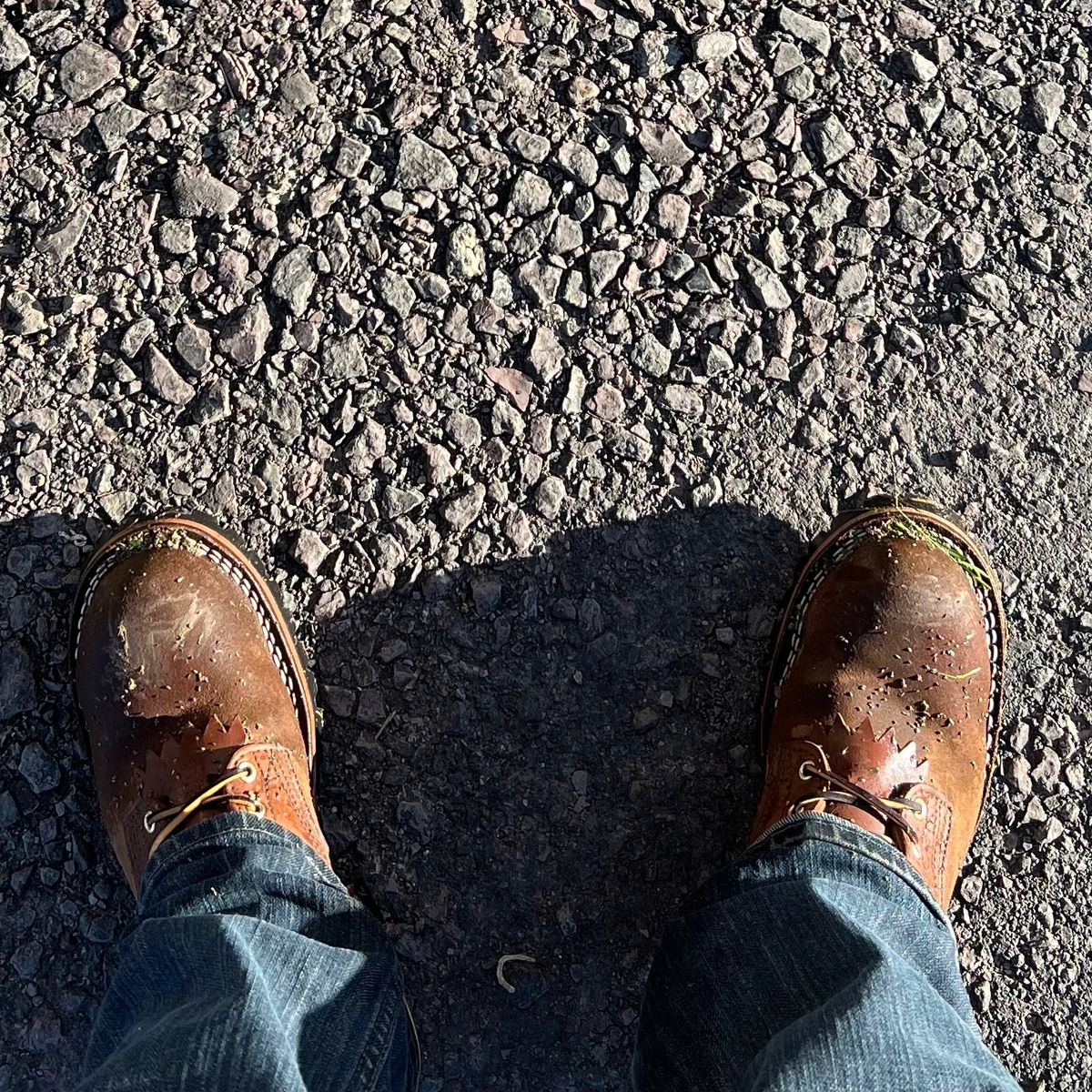 Photo by RyanAK on October 13, 2023 of the Nicks BuilderPro in Seidel 1964 Brown Roughout.