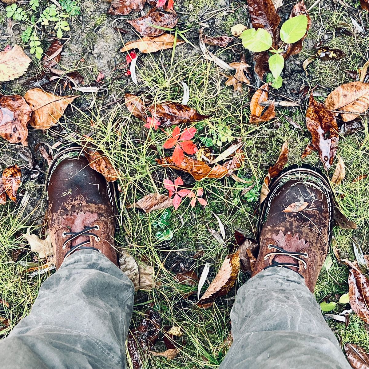 Photo by RyanAK on October 20, 2023 of the Nicks BuilderPro in Seidel 1964 Brown Roughout.