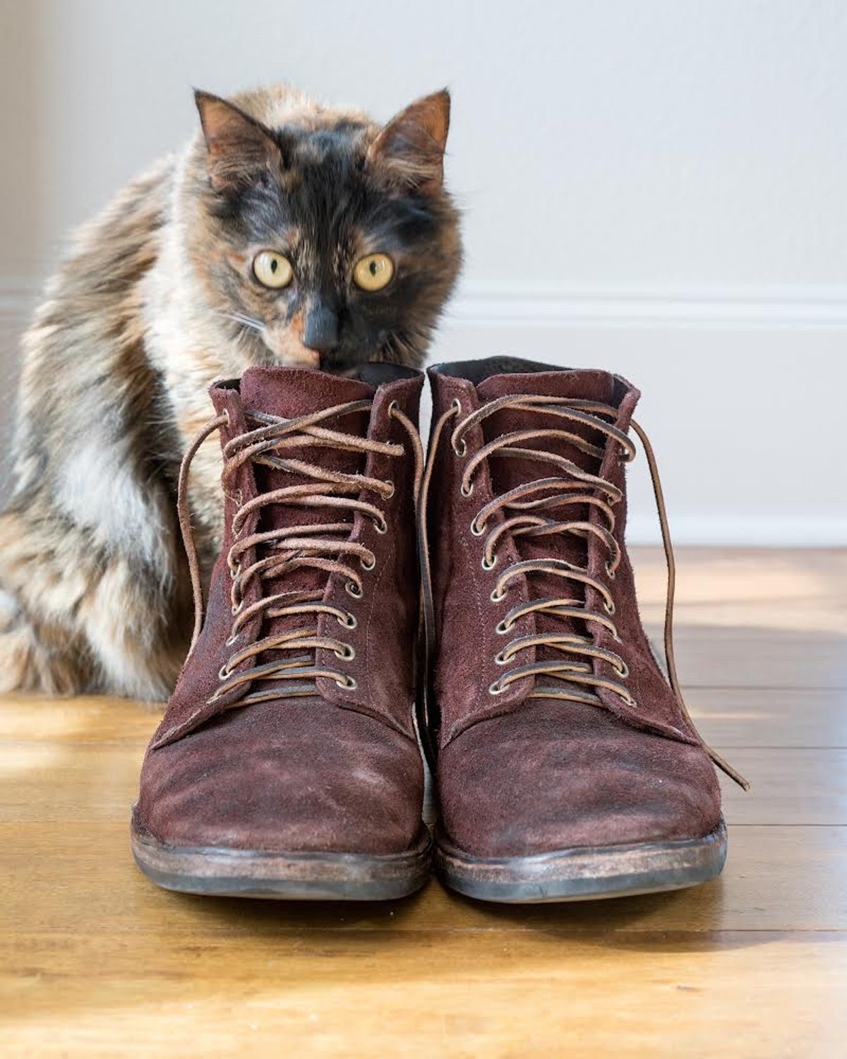 Photo by boootlicker on January 3, 2024 of the NF Bootmaker Fritz Boot in J&FJ Baker Australian Nut Panel Hide Roughout.