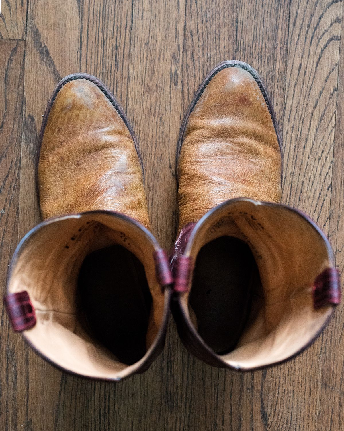 Photo by boootlicker on December 4, 2025 of the Tecovas The Weston in Smooth Ostrich.