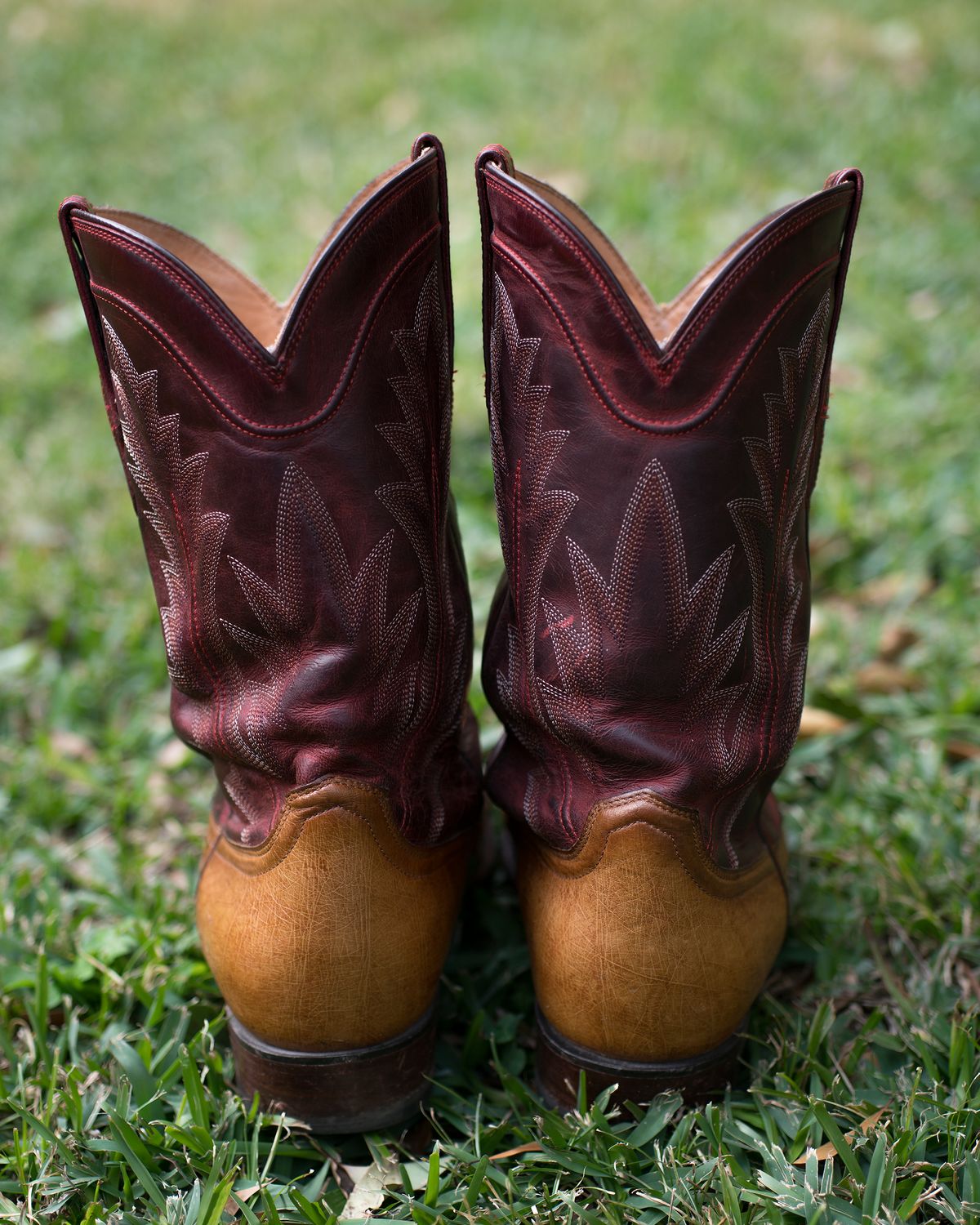 Photo by boootlicker on February 4, 2026 of the Tecovas The Weston in Smooth Ostrich.