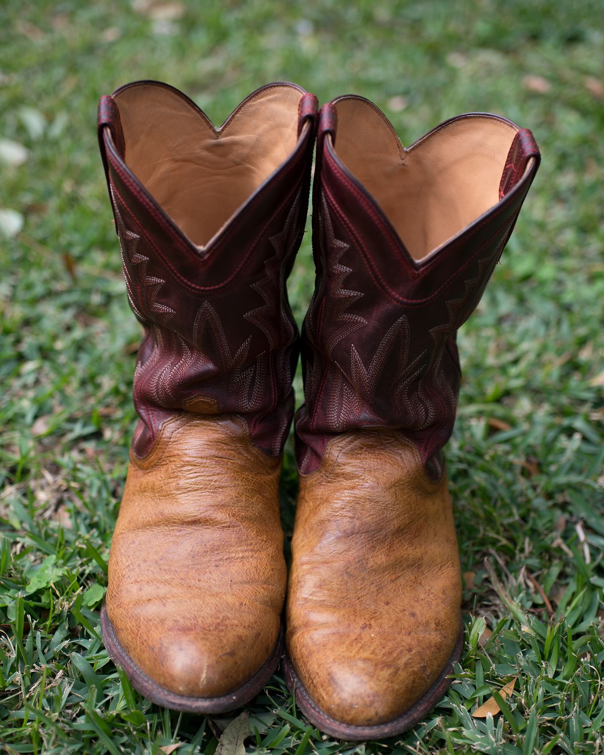 Photo by boootlicker on February 4, 2026 of the Tecovas The Weston in Smooth Ostrich.