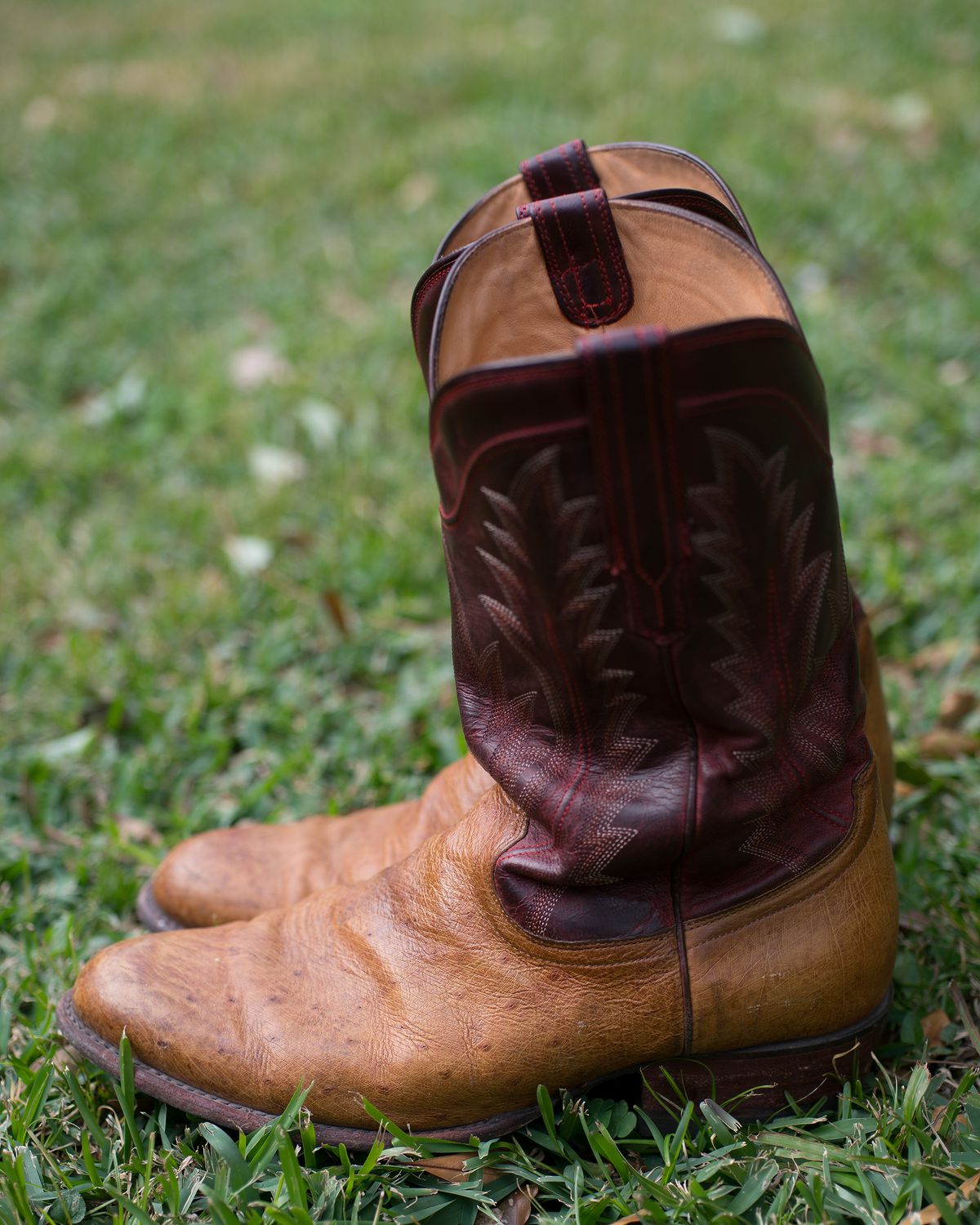 Photo by boootlicker on February 4, 2026 of the Tecovas The Weston in Smooth Ostrich.