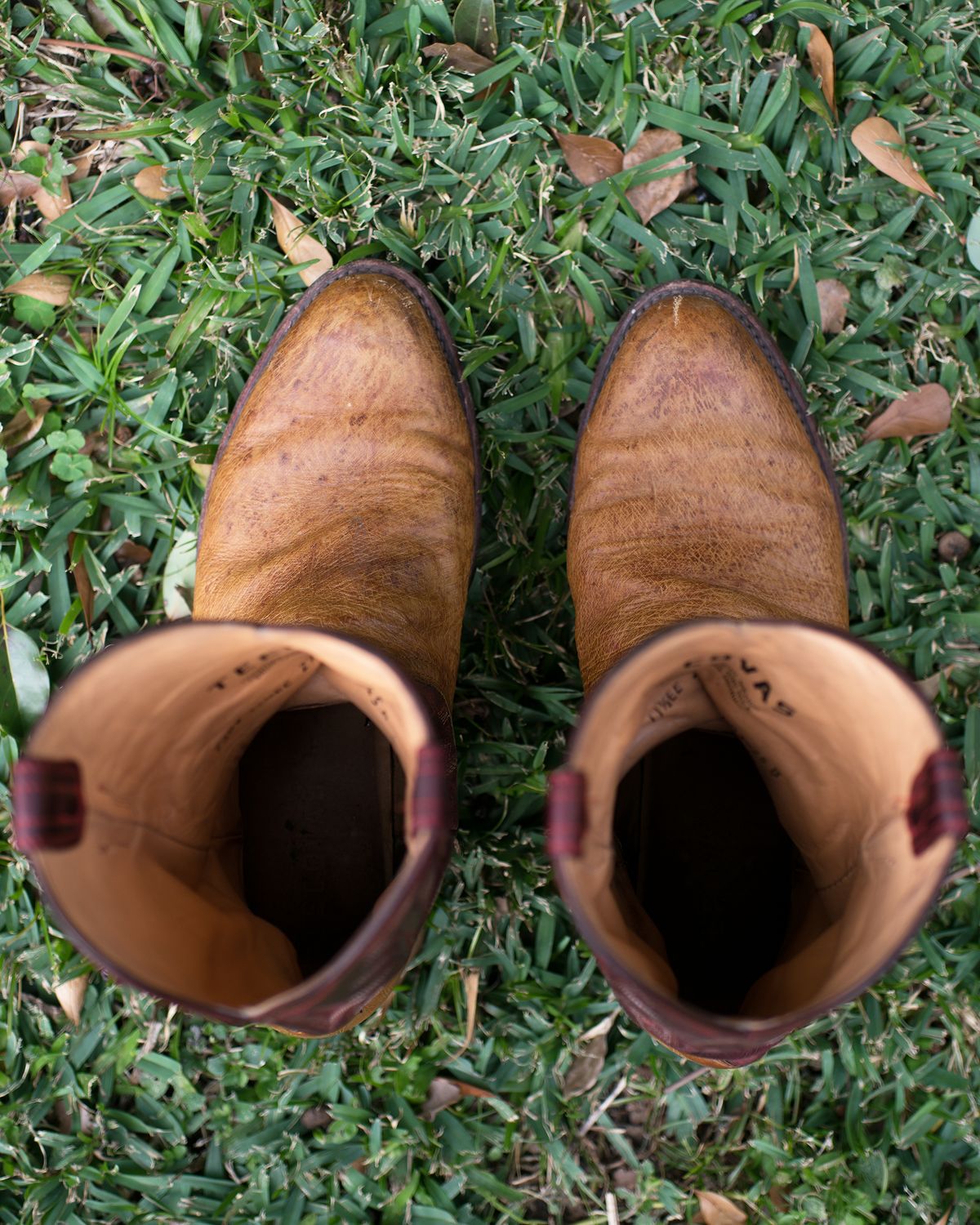 Photo by boootlicker on February 4, 2026 of the Tecovas The Weston in Smooth Ostrich.