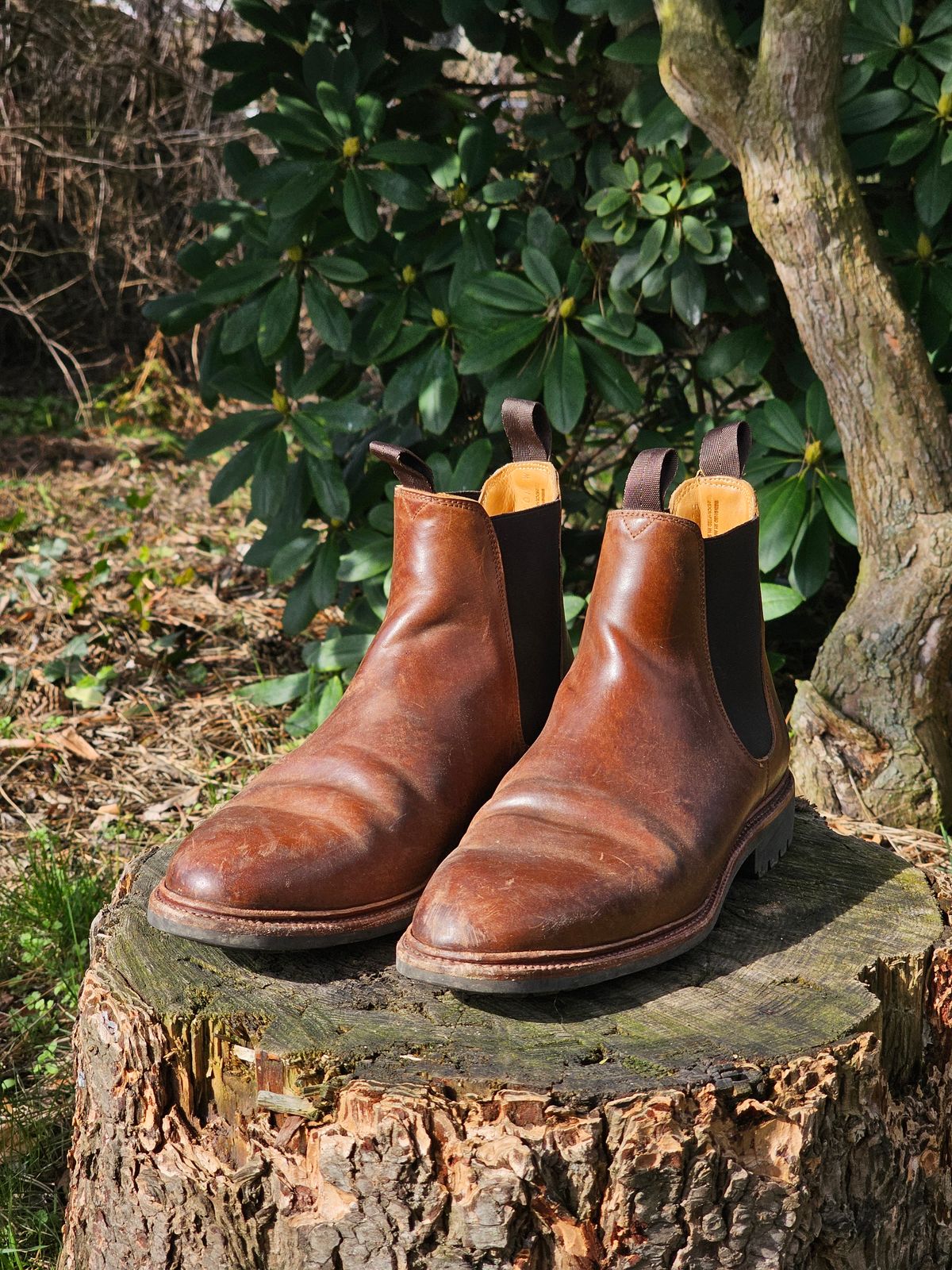 Photo by crunchyonion on March 5, 2024 of the Meermin Chelsea Boot in Tobacco Waxy Shell Cordovan.