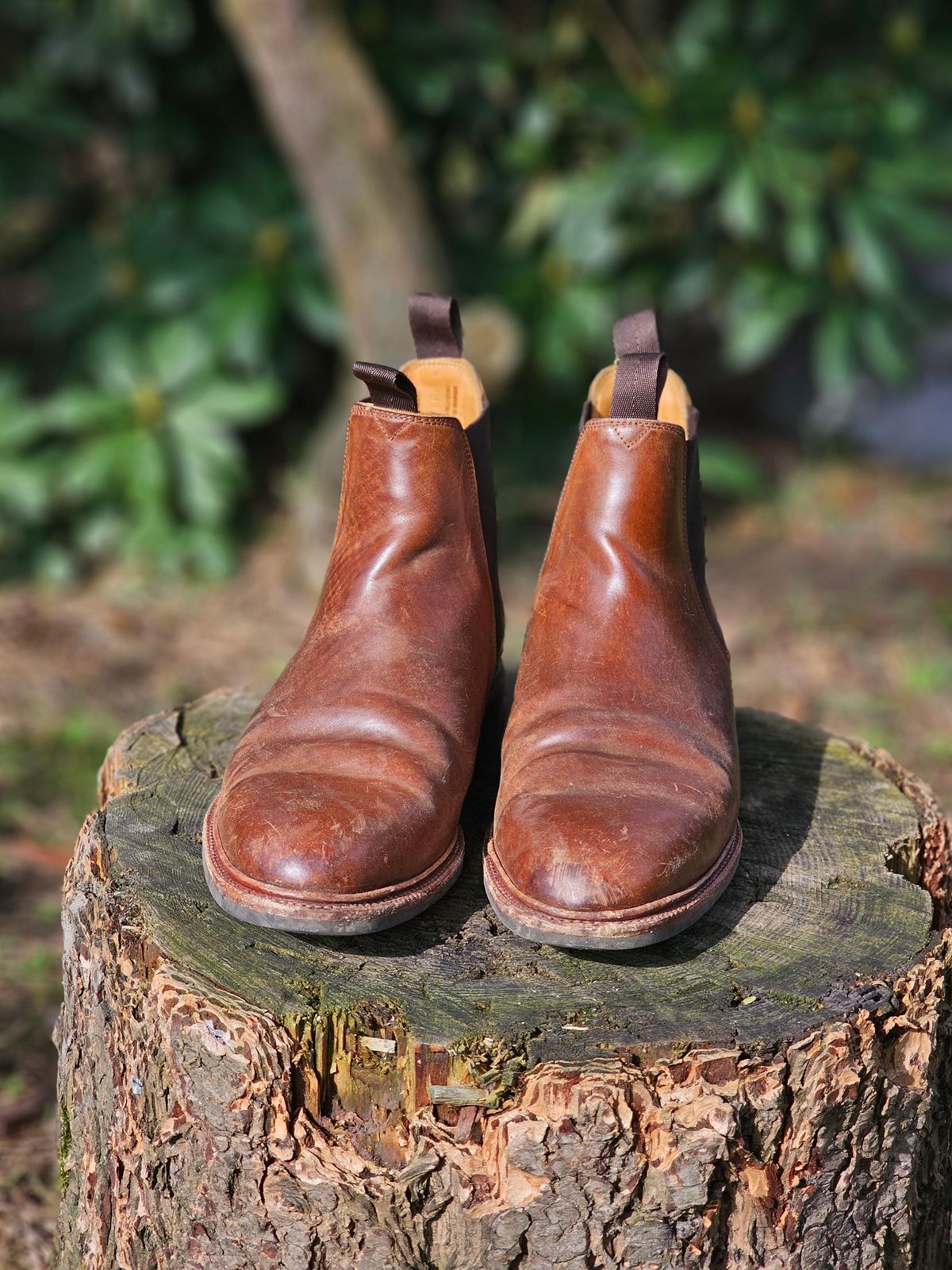 Photo by crunchyonion on March 5, 2024 of the Meermin Chelsea Boot in Tobacco Waxy Shell Cordovan.
