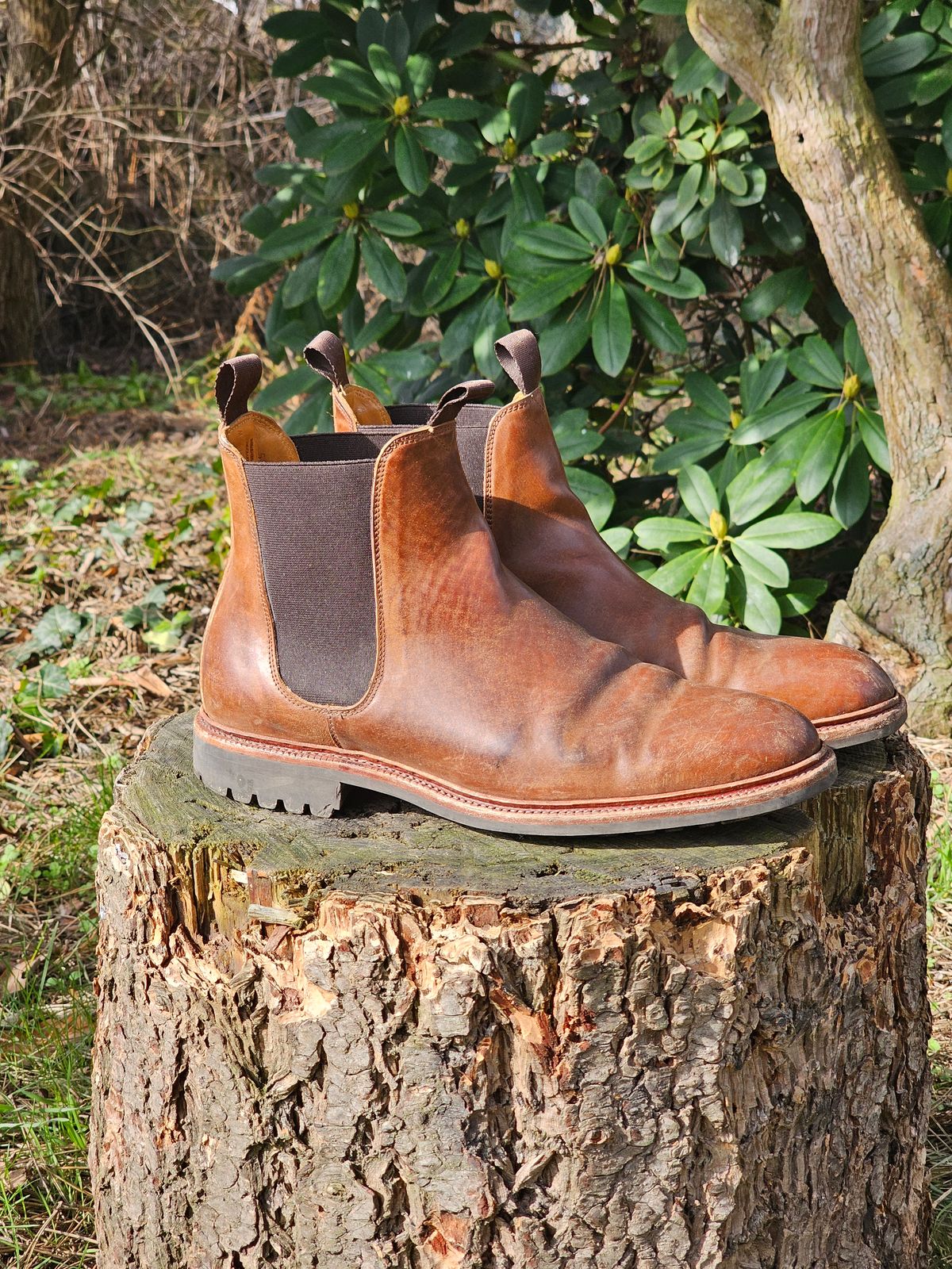 Photo by crunchyonion on March 5, 2024 of the Meermin Chelsea Boot in Tobacco Waxy Shell Cordovan.