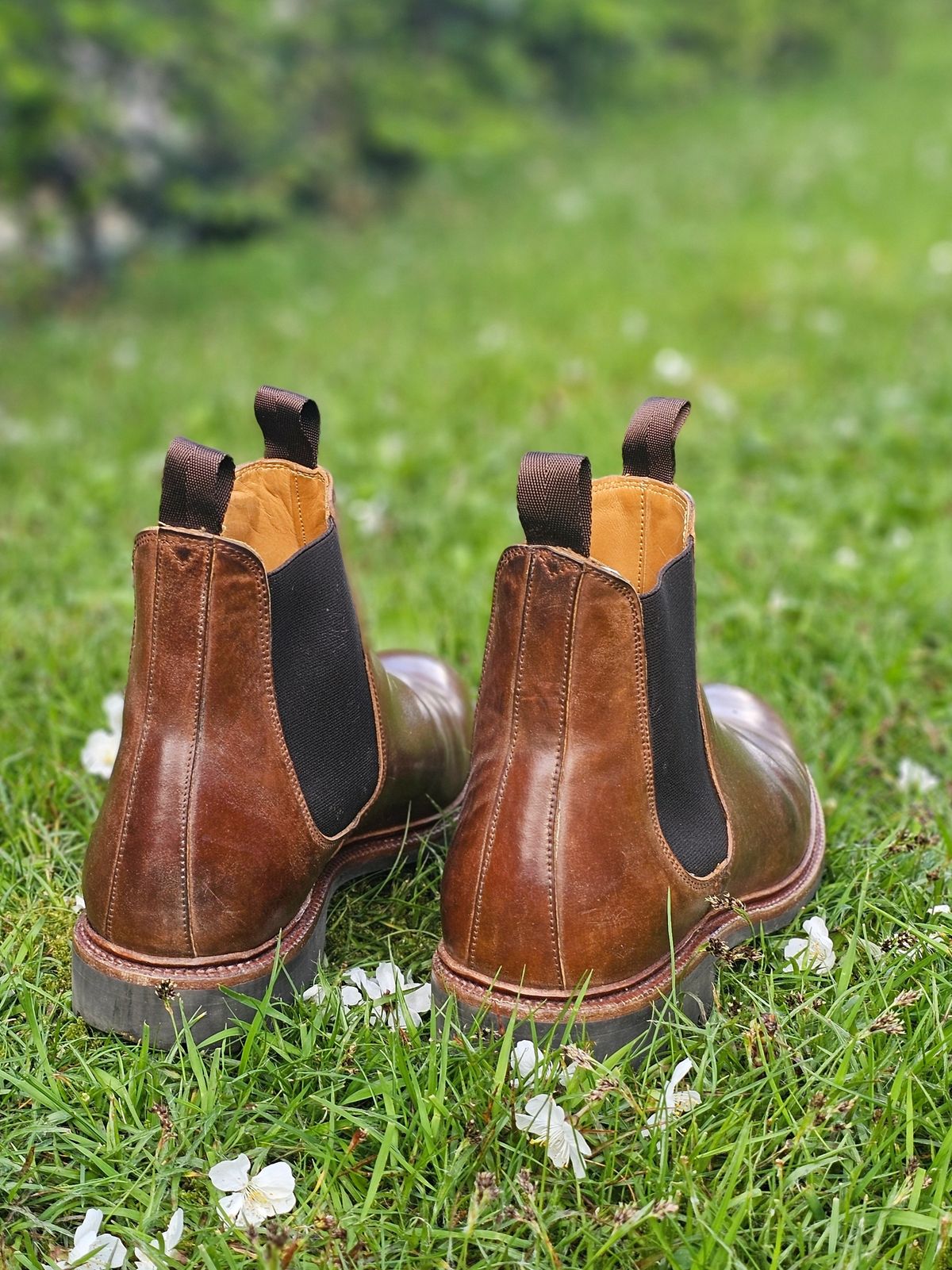 Photo by crunchyonion on April 1, 2024 of the Meermin Chelsea Boot in Tobacco Waxy Shell Cordovan.