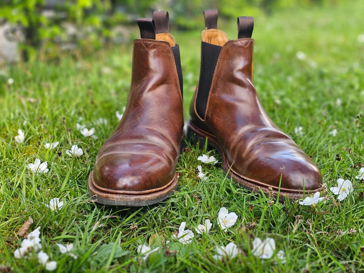 Photo by crunchyonion on April 1, 2024 of the Meermin Chelsea Boot in Tobacco Waxy Shell Cordovan.