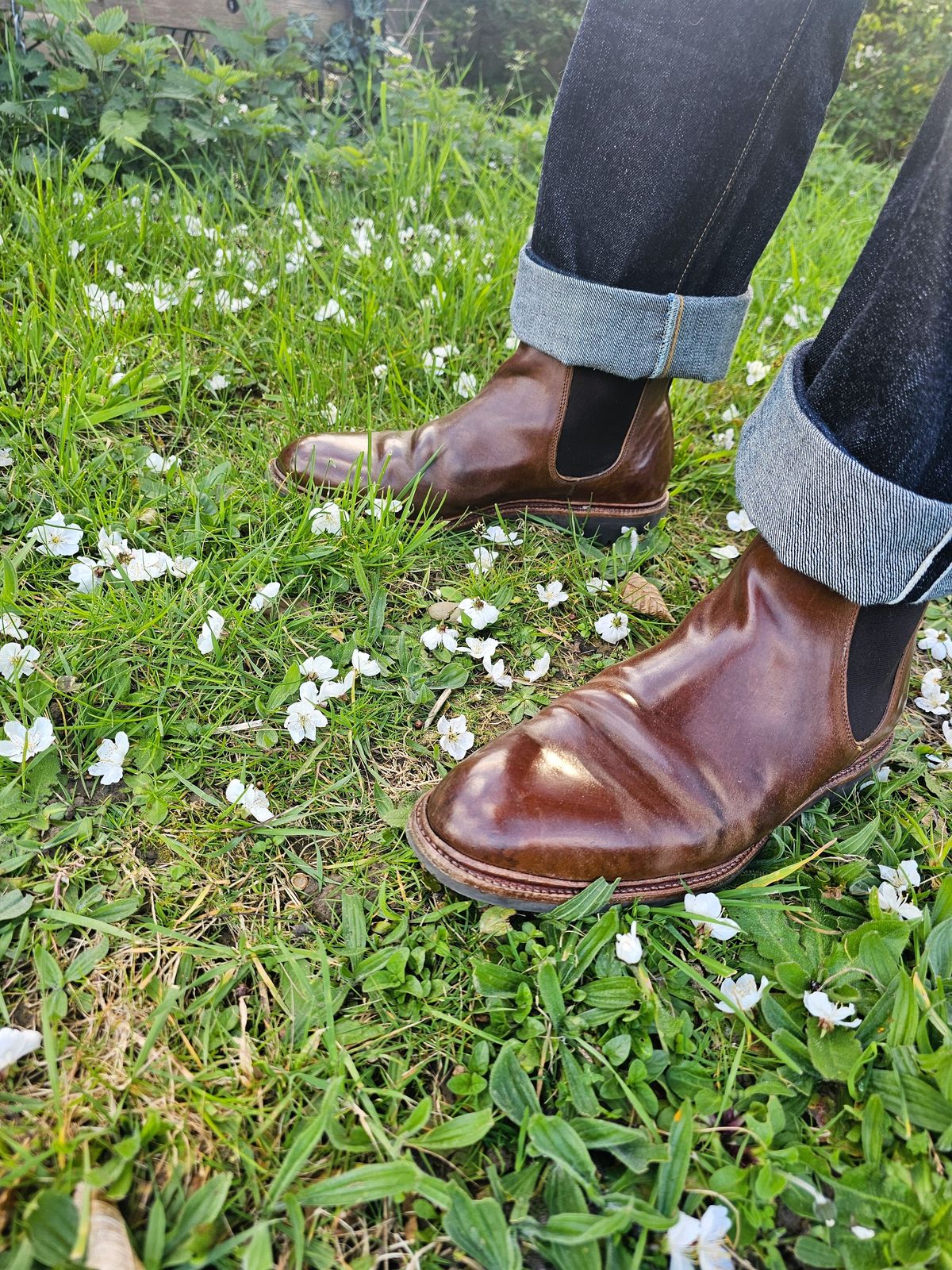 Photo by crunchyonion on April 1, 2024 of the Meermin Chelsea Boot in Tobacco Waxy Shell Cordovan.